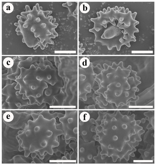 Jof 08 00429 g004 550