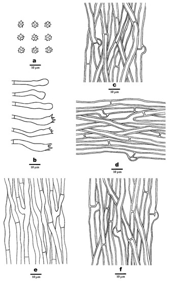 Jof 08 00429 g005 550