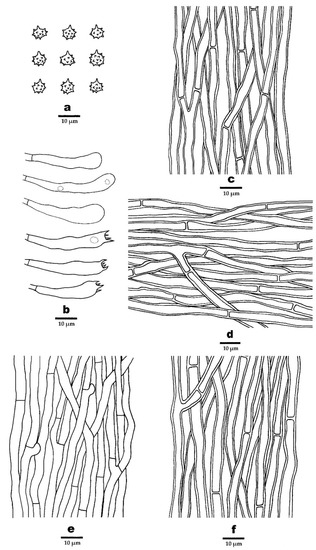 Jof 08 00429 g006 550