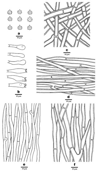 Jof 08 00429 g007 550