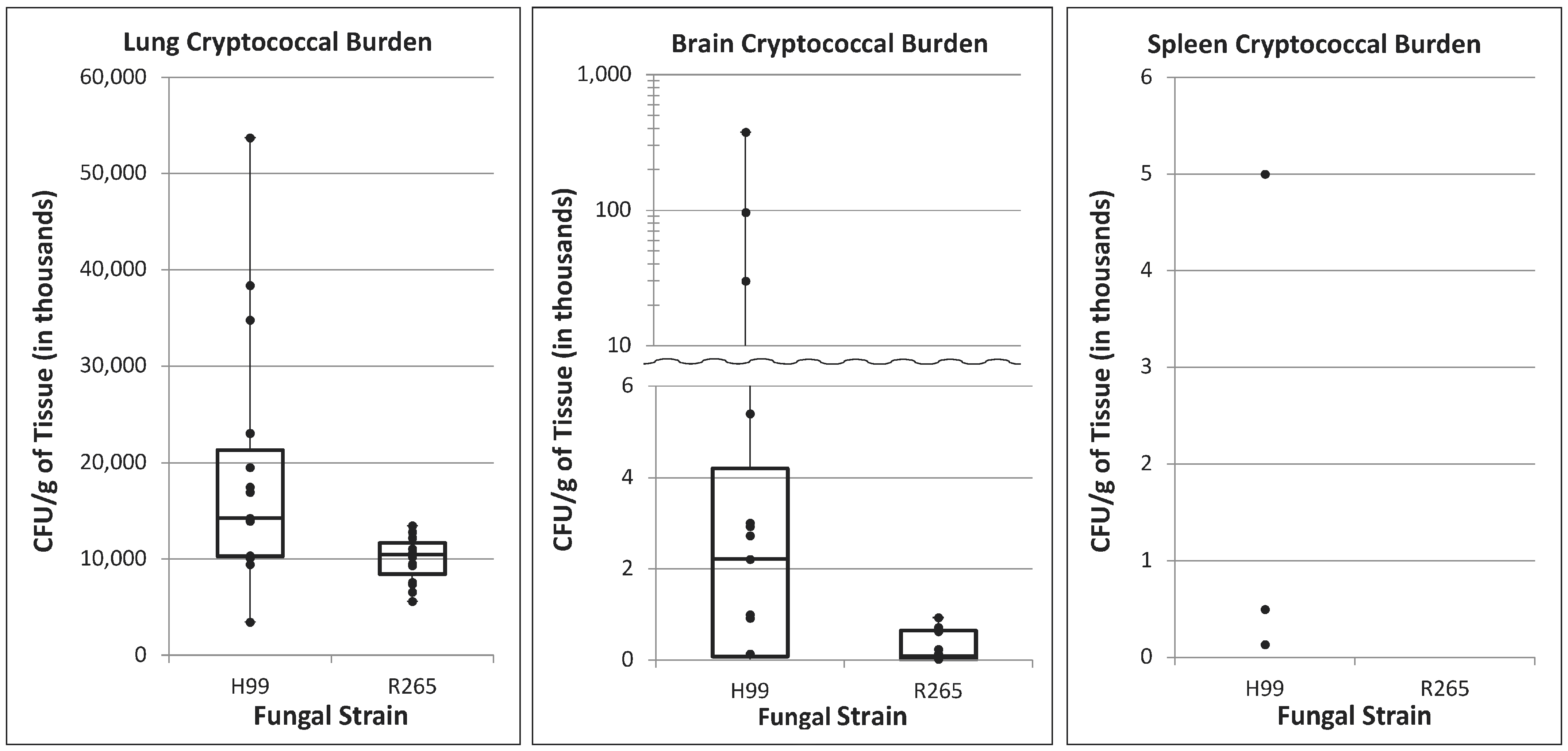 Jof 08 00430 g001 Jof 08 00430 g001
