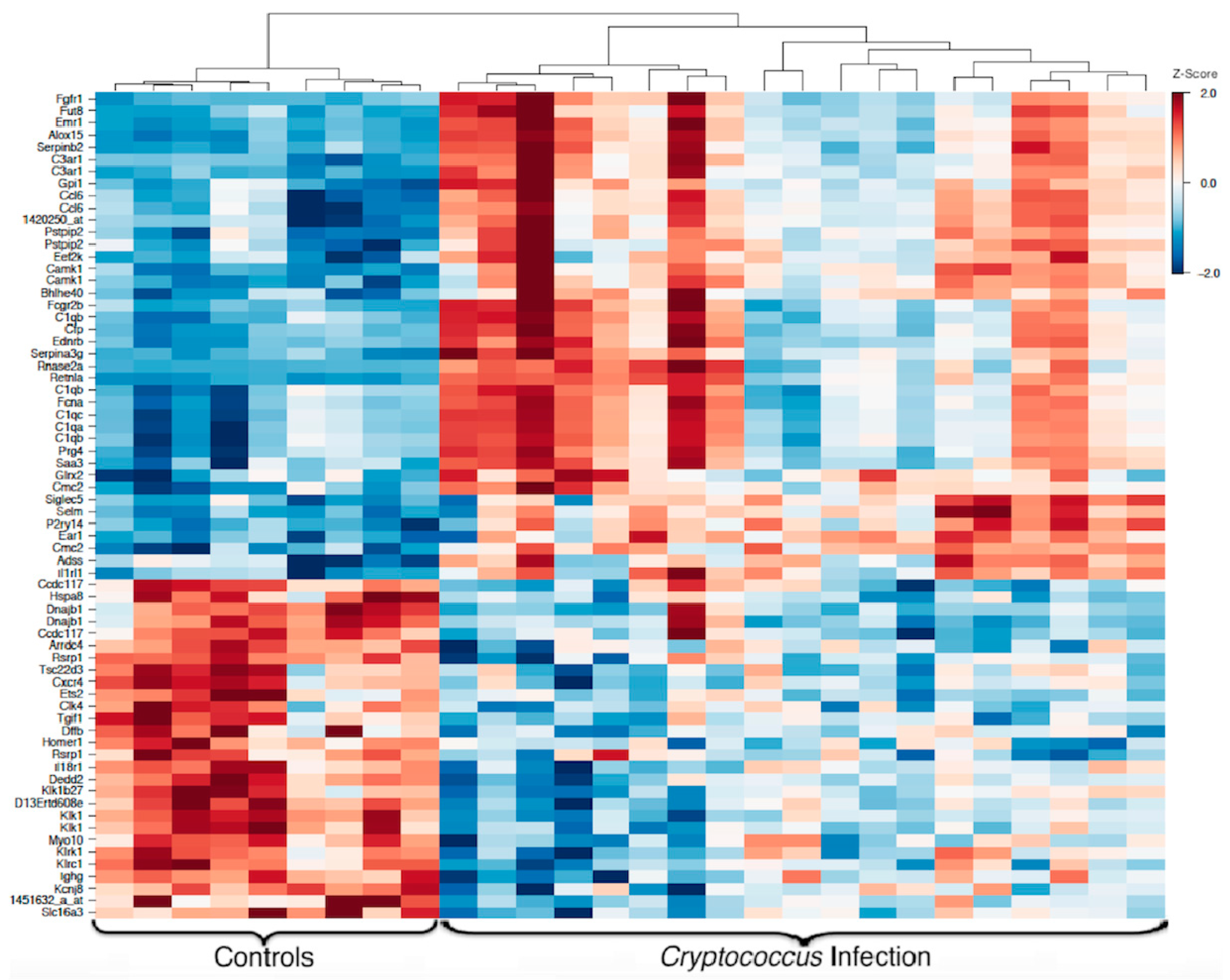 Jof 08 00430 g003 Jof 08 00430 g003