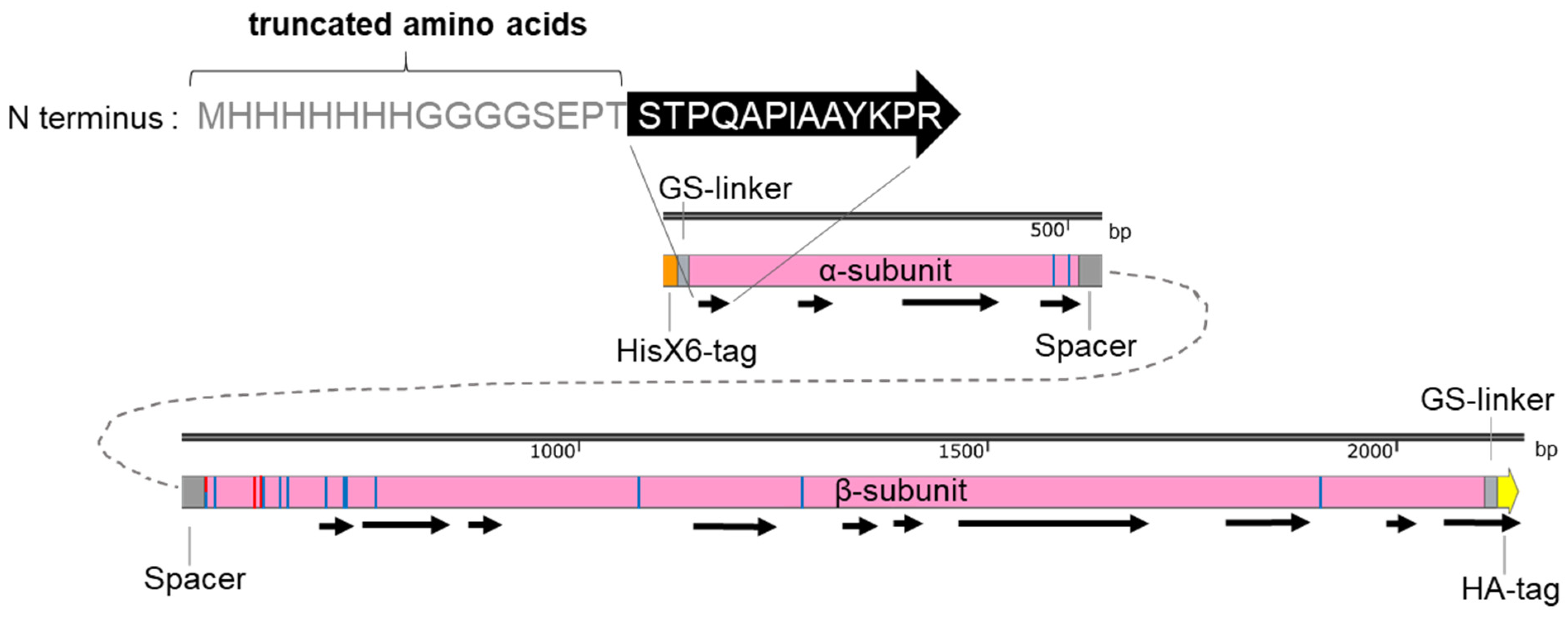 Jof 08 00450 g005 Jof 08 00450 g005