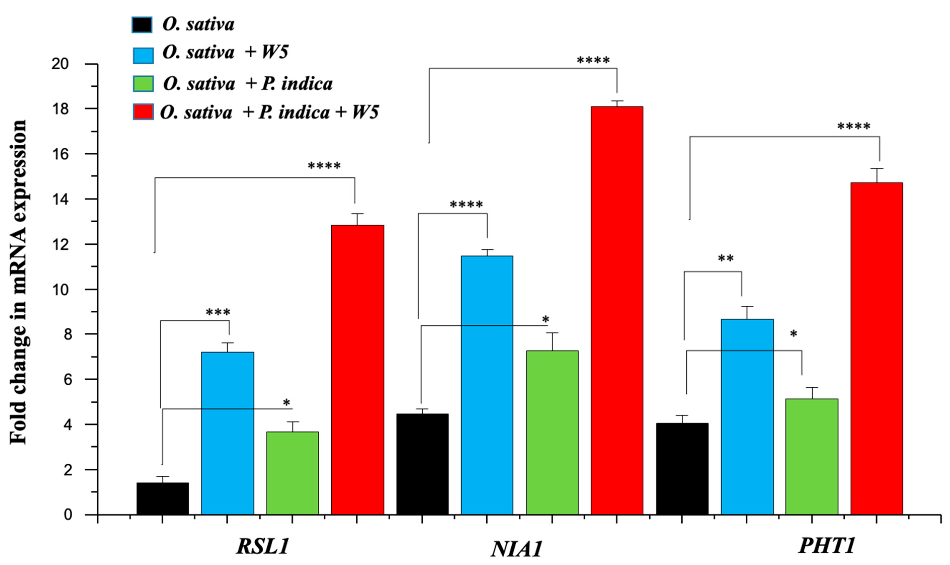 Jof 08 00453 g003 Jof 08 00453 g003