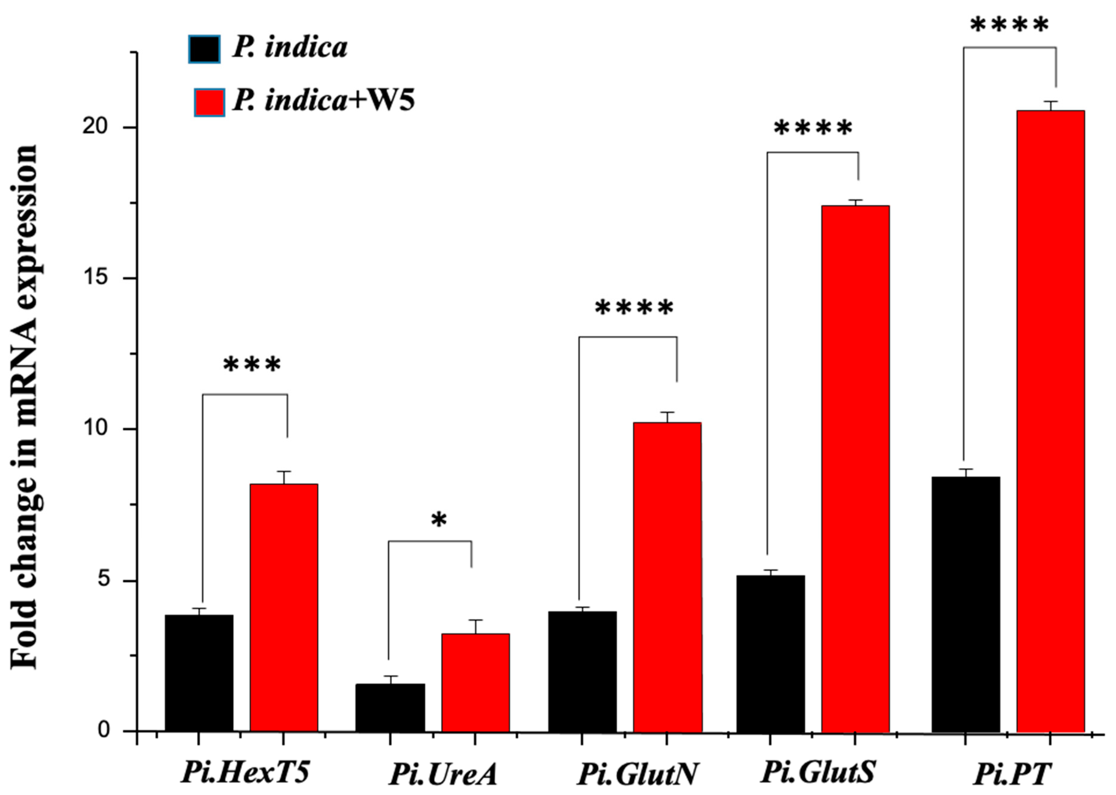 Jof 08 00453 g004 Jof 08 00453 g004