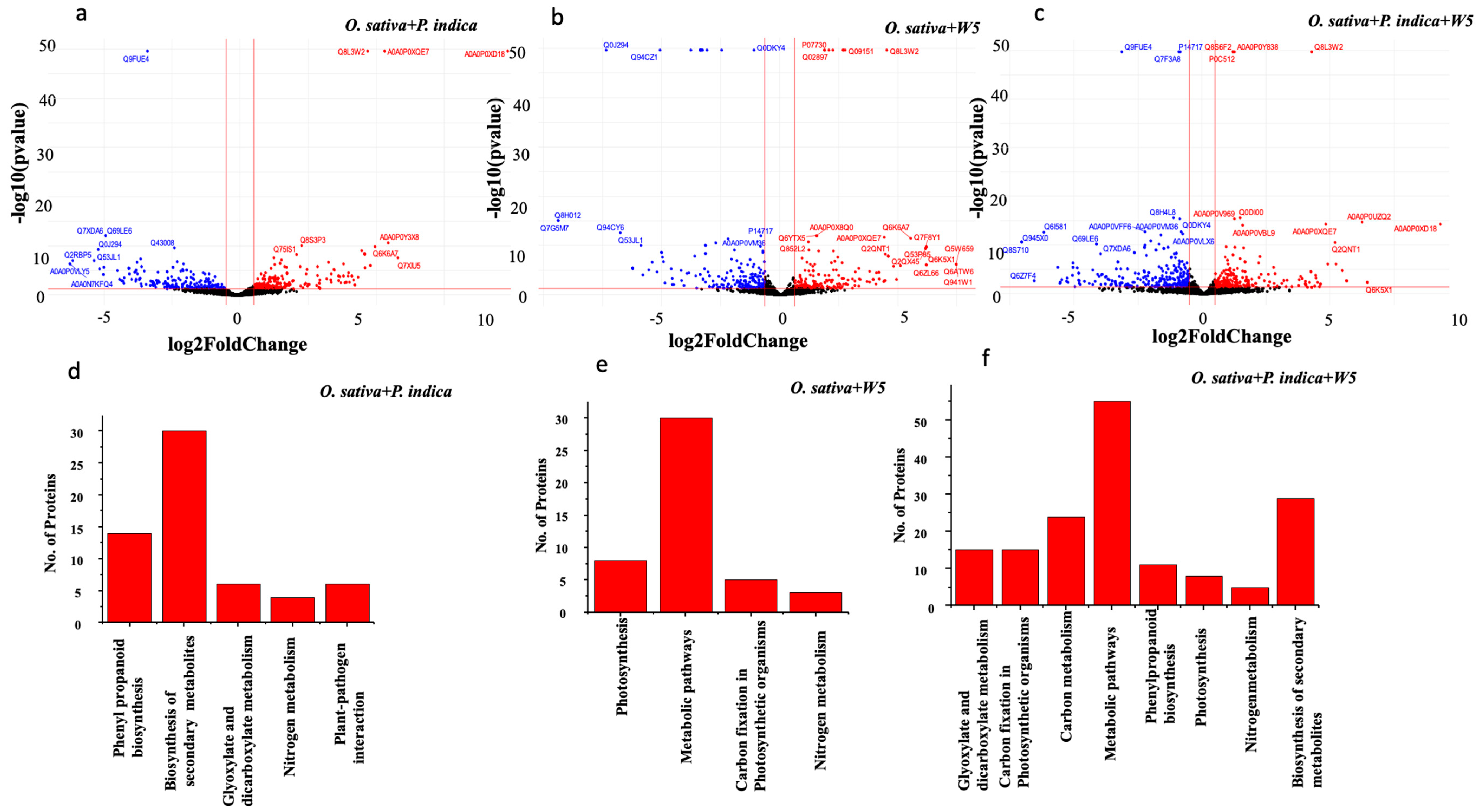 Jof 08 00453 g006 Jof 08 00453 g006