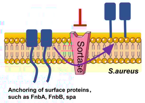 Jof 08 00454 g0a1 550