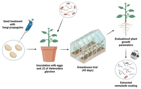 Jof 08 00511 g0a2 550