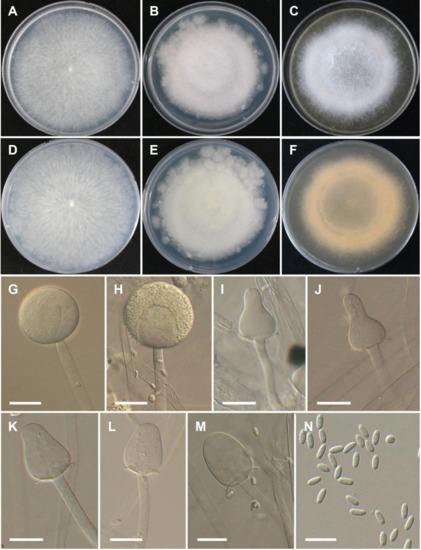 Jof 08 00601 g003 550