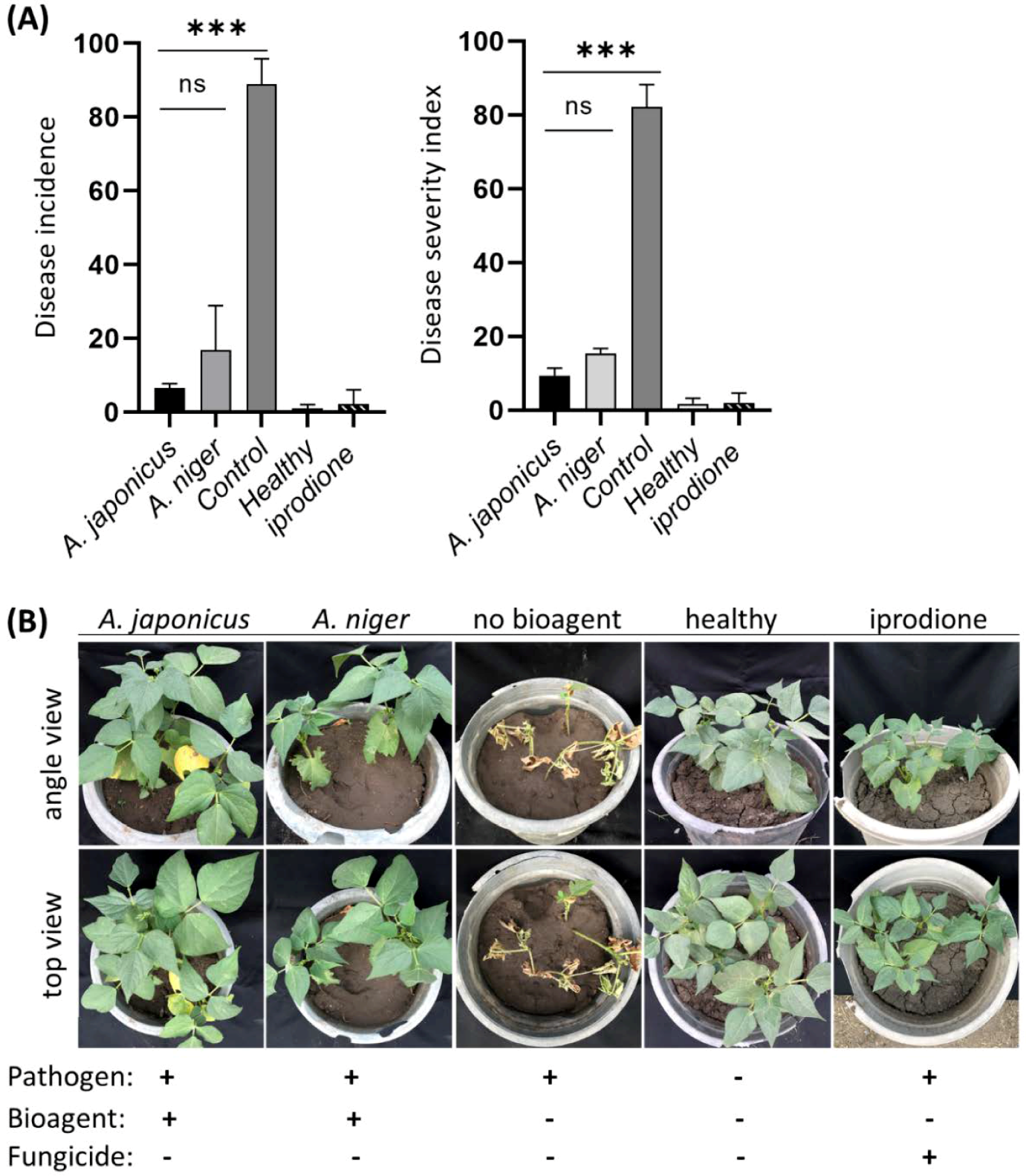 Jof 08 00626 g007 Jof 08 00626 g007
