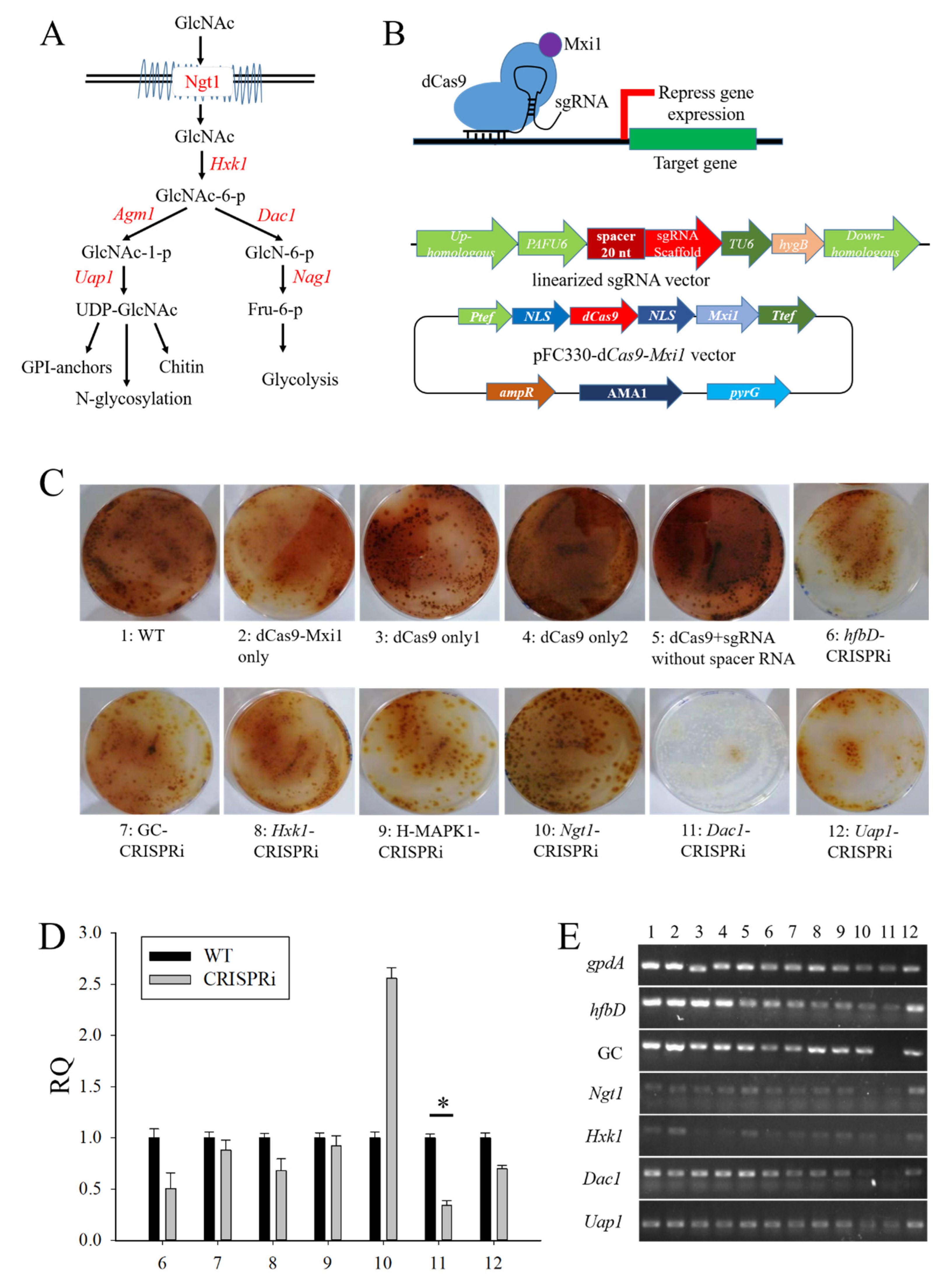 Jof 08 00679 g004a Jof 08 00679 g004a