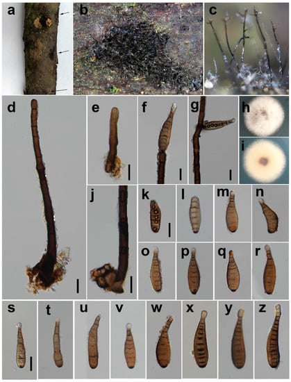 Jof 08 00712 g005 550