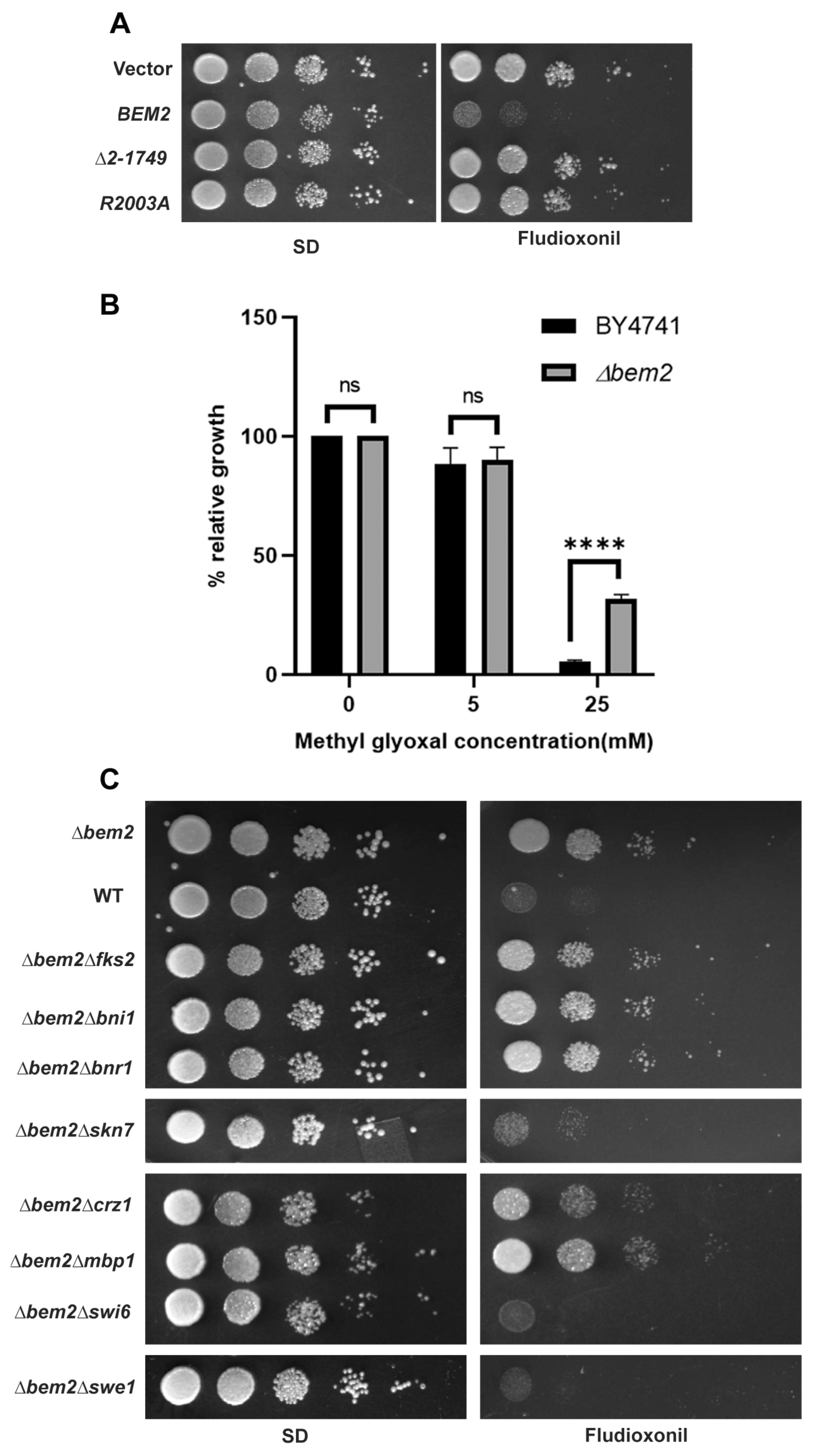Jof 08 00754 g003 Jof 08 00754 g003