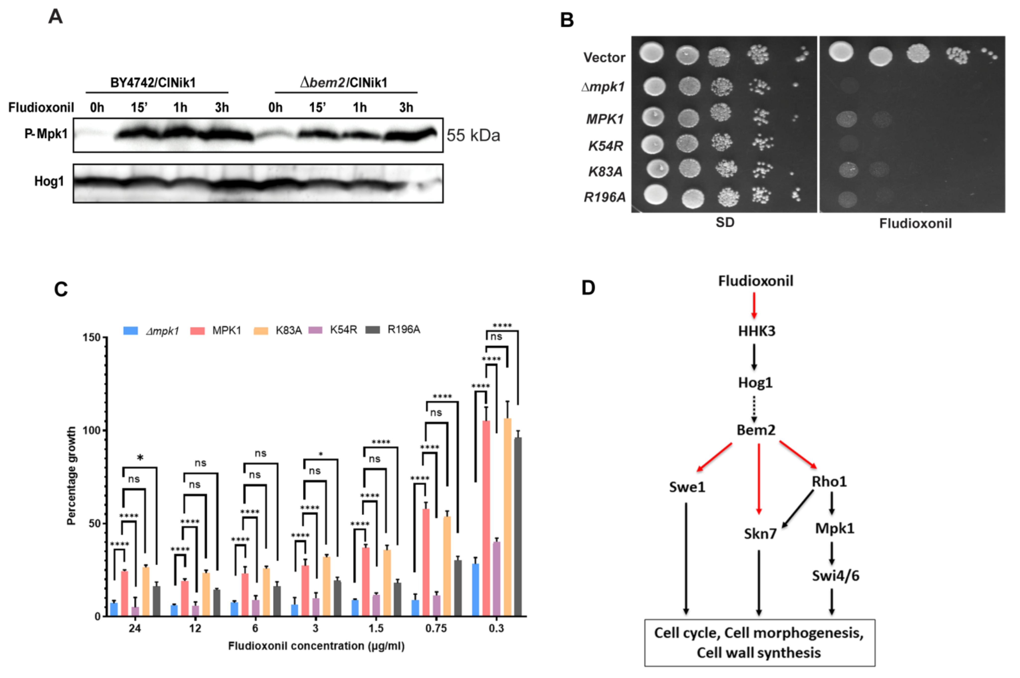Jof 08 00754 g004 Jof 08 00754 g004
