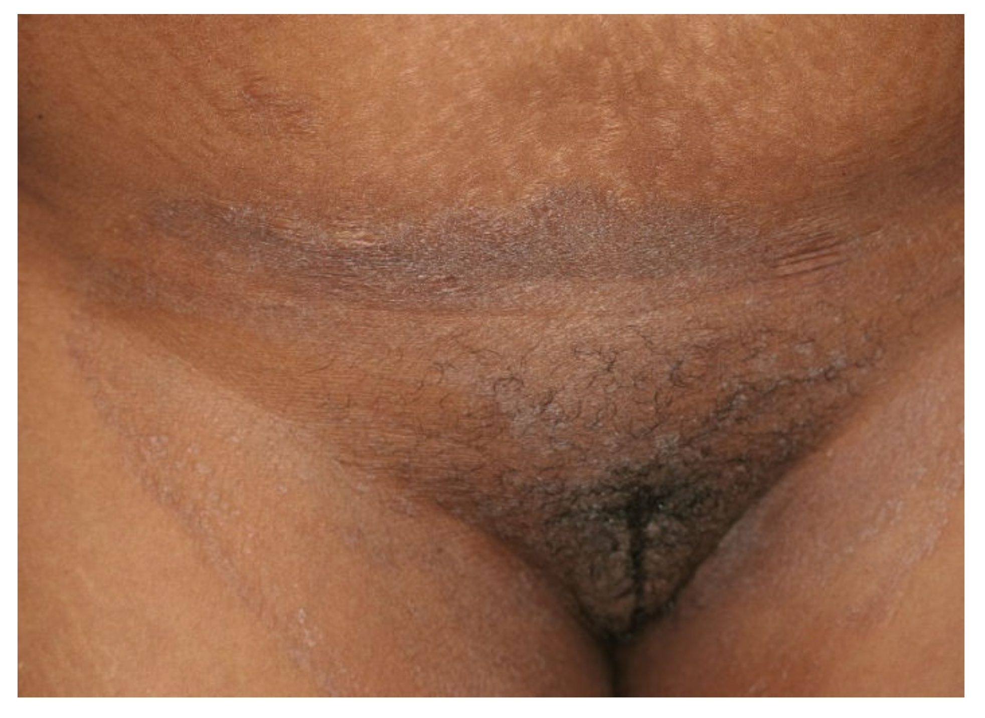 Jof 08 00757 g002