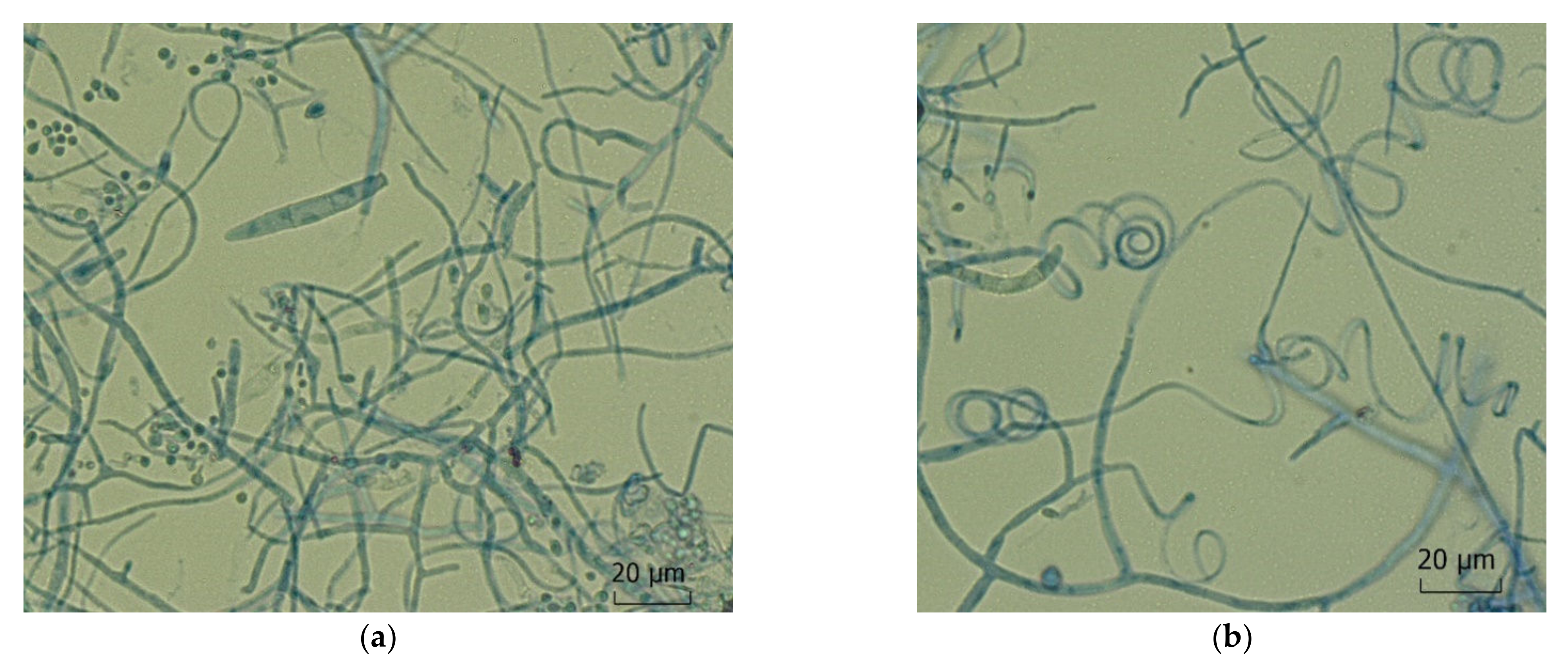Jof 08 00757 g006