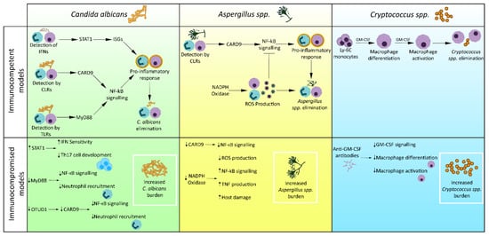 Jof 08 00805 g002 550