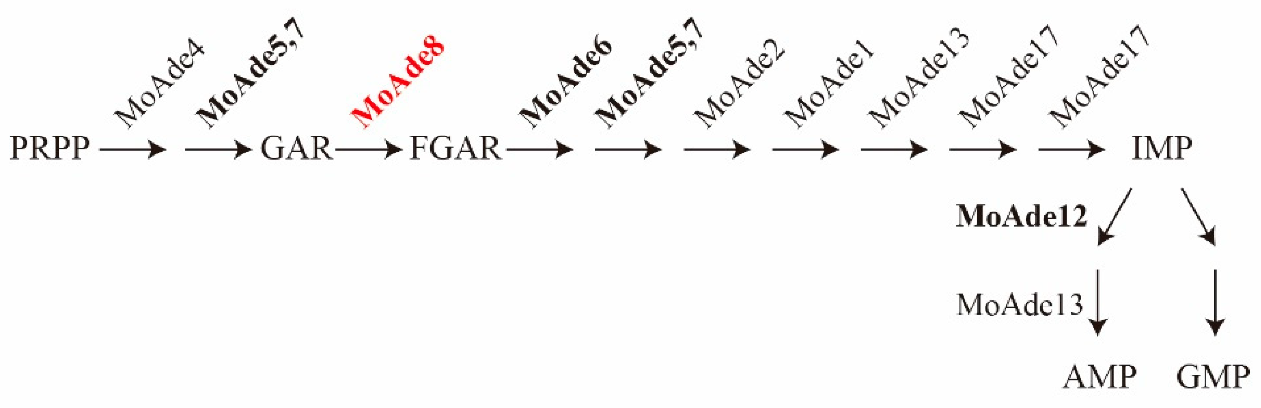 Jof 08 00915 g001 Jof 08 00915 g001