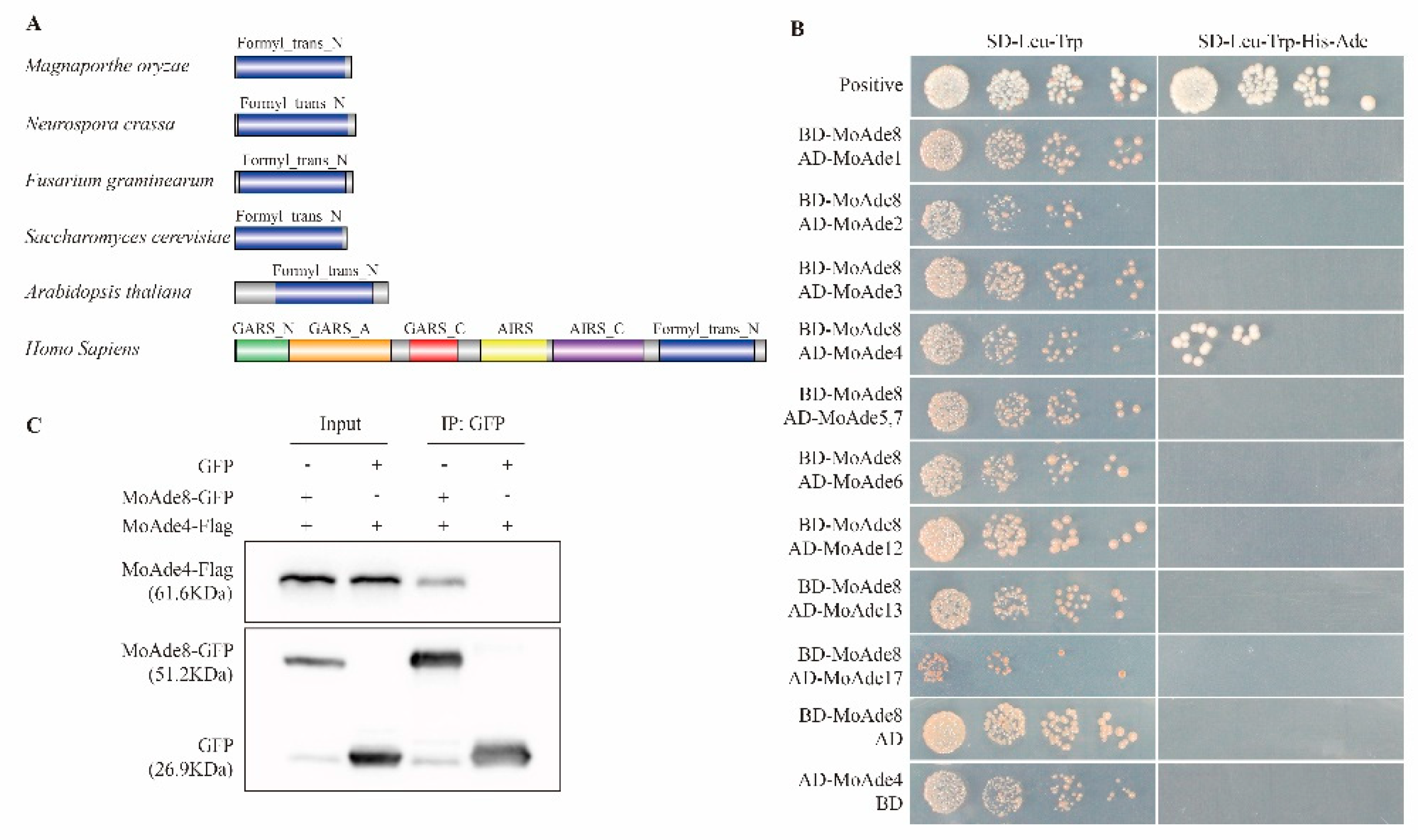 Jof 08 00915 g002 Jof 08 00915 g002
