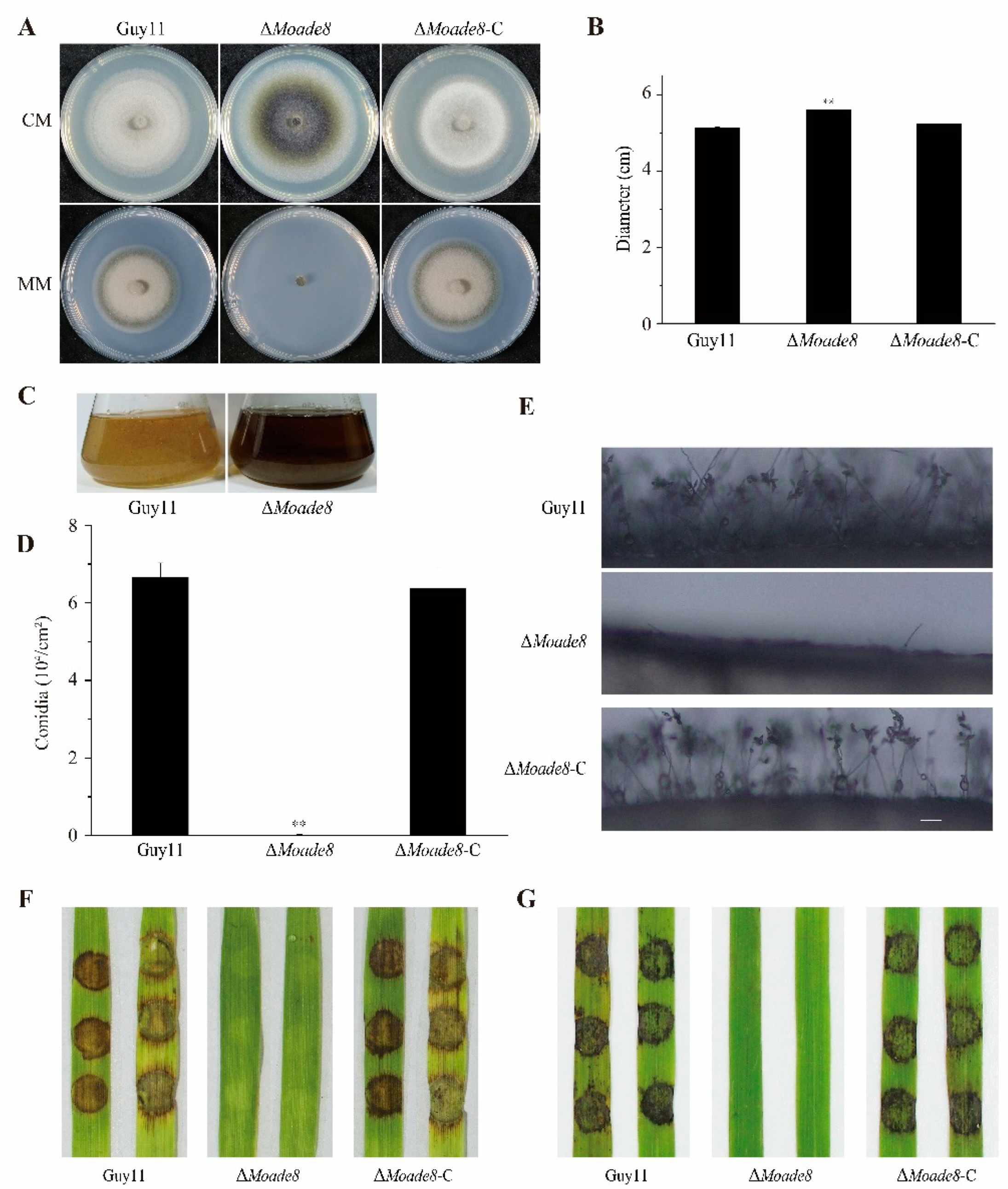 Jof 08 00915 g003 Jof 08 00915 g003