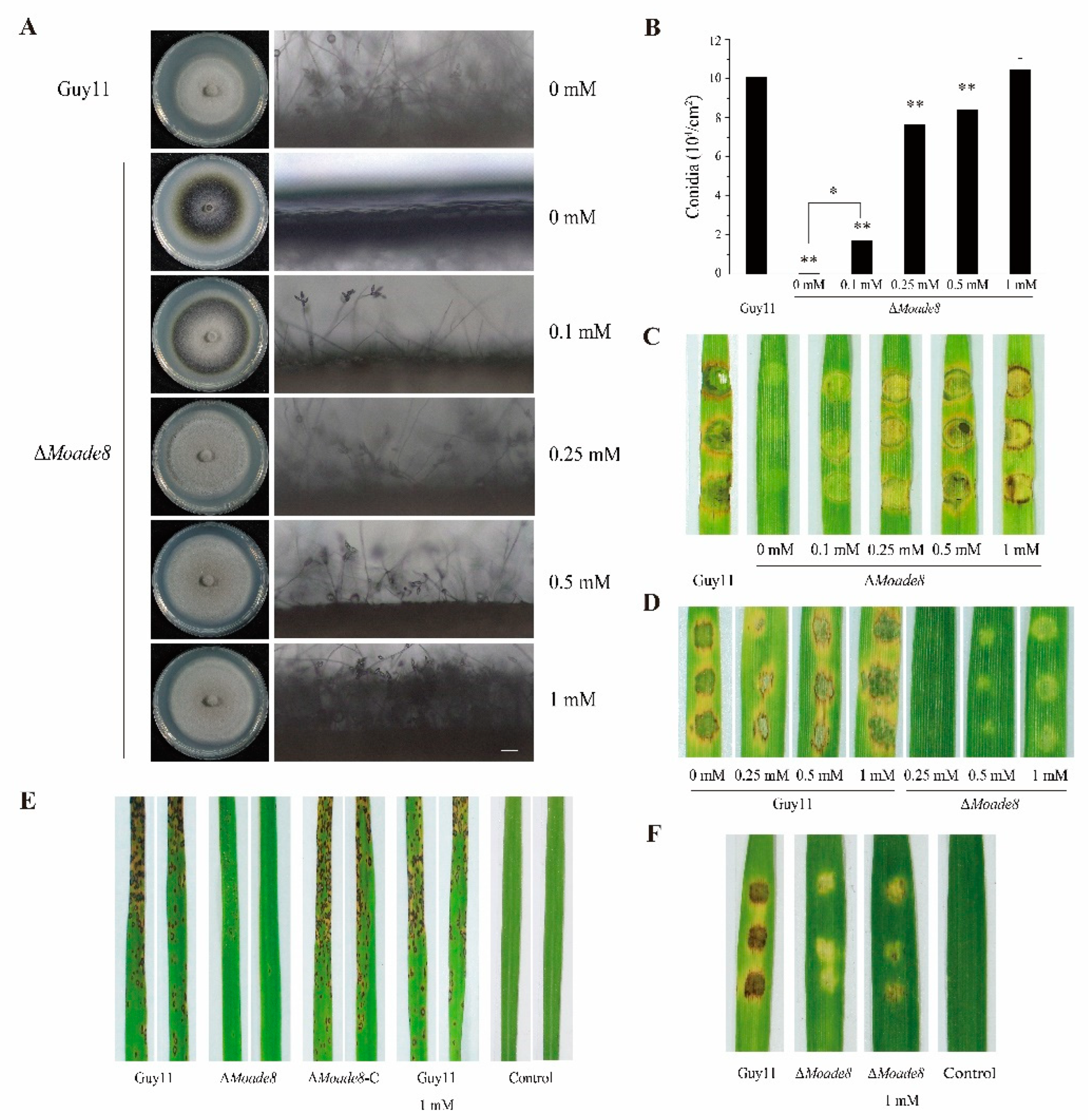 Jof 08 00915 g004 Jof 08 00915 g004