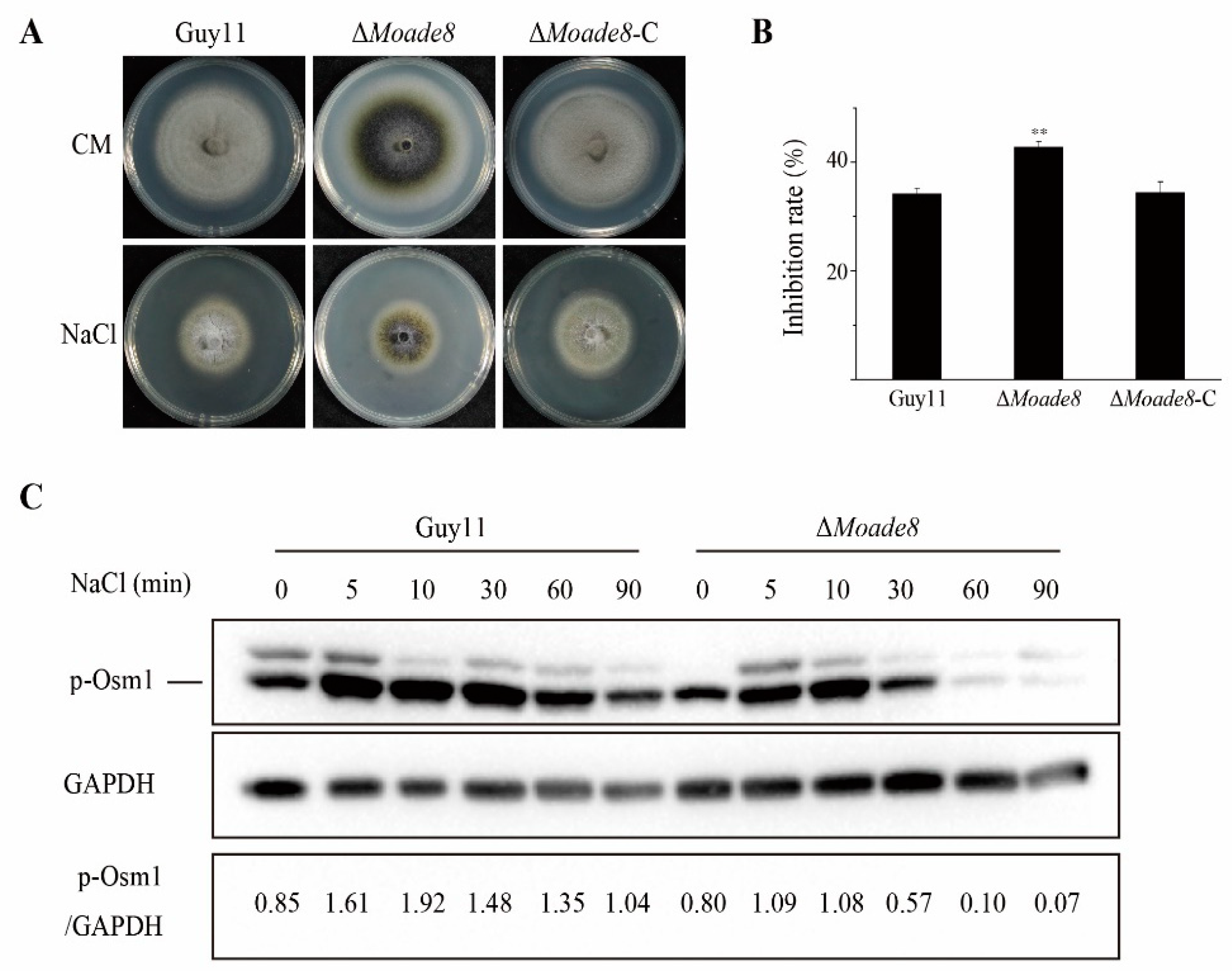 Jof 08 00915 g006 Jof 08 00915 g006