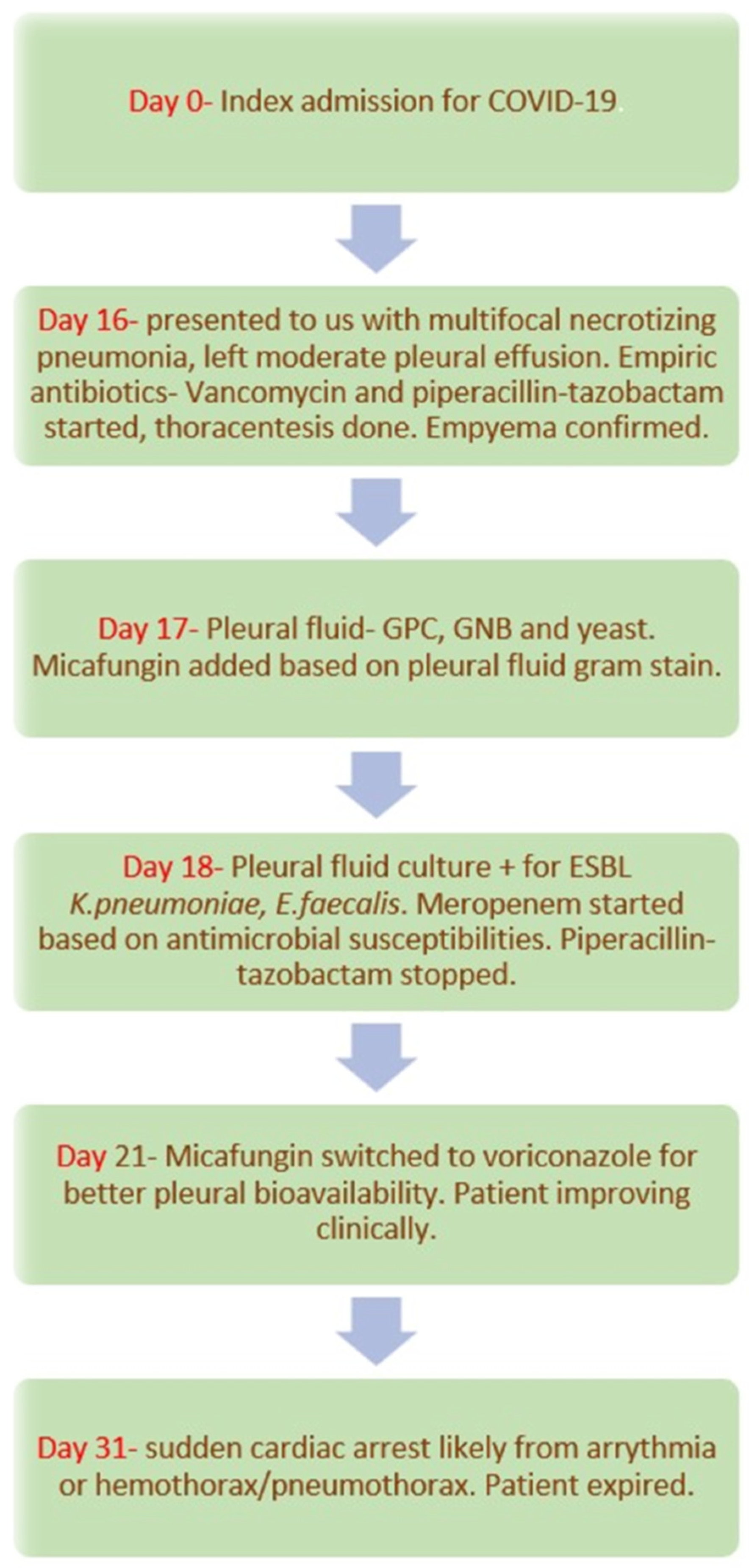 Jof 08 00923 g002 Jof 08 00923 g002