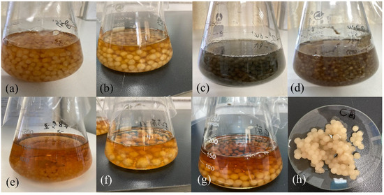 Jof 08 00951 g005 550