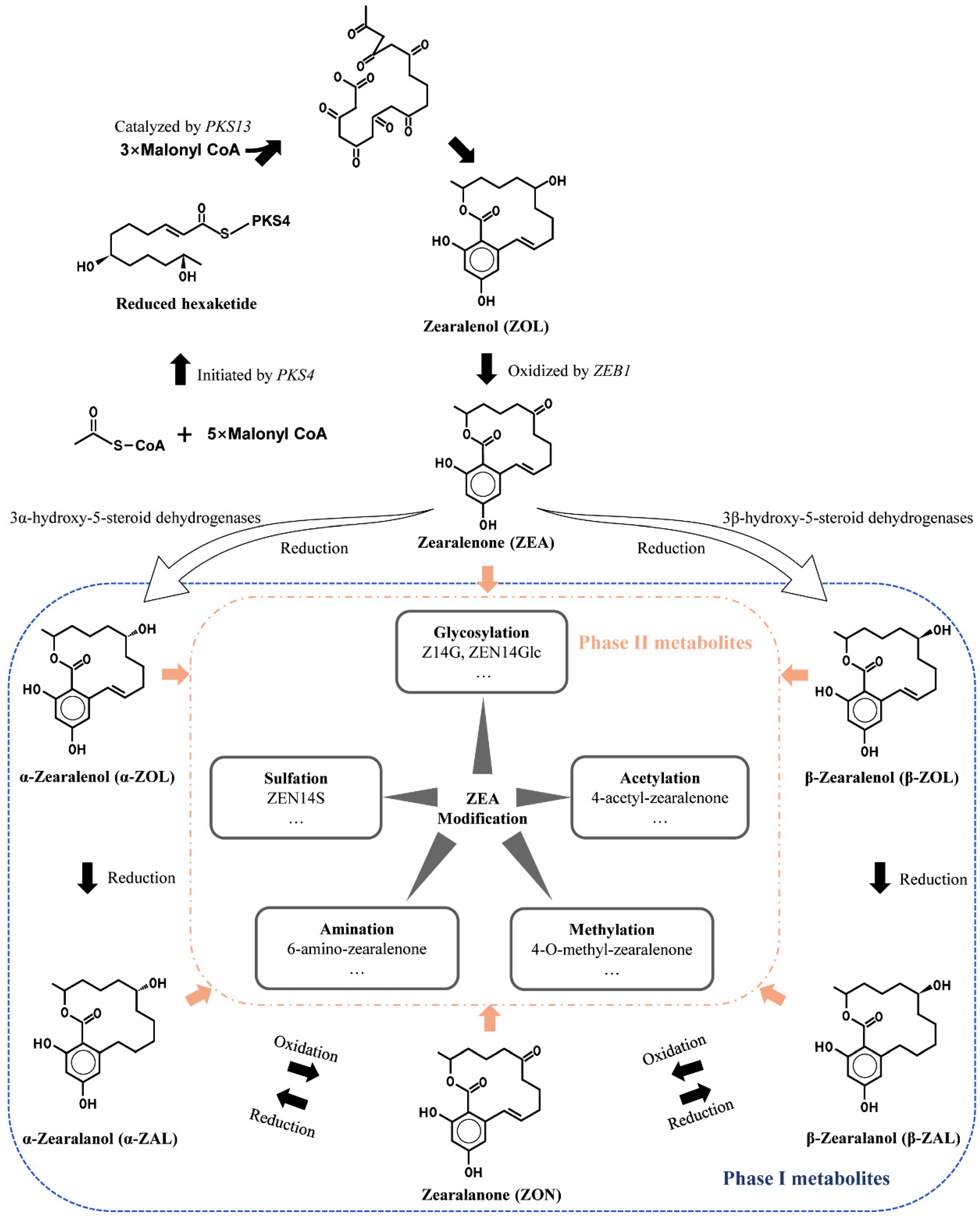 Jof 08 00976 g001 Jof 08 00976 g001
