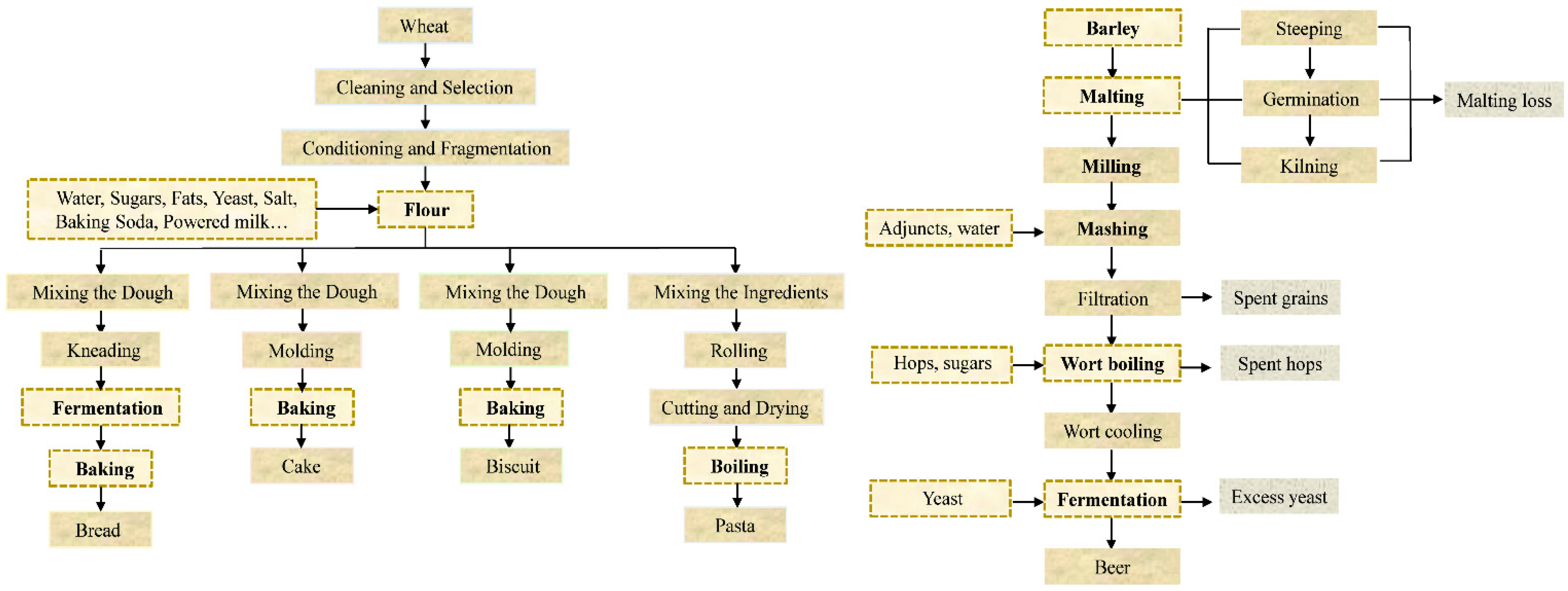 Jof 08 00976 g002 Jof 08 00976 g002