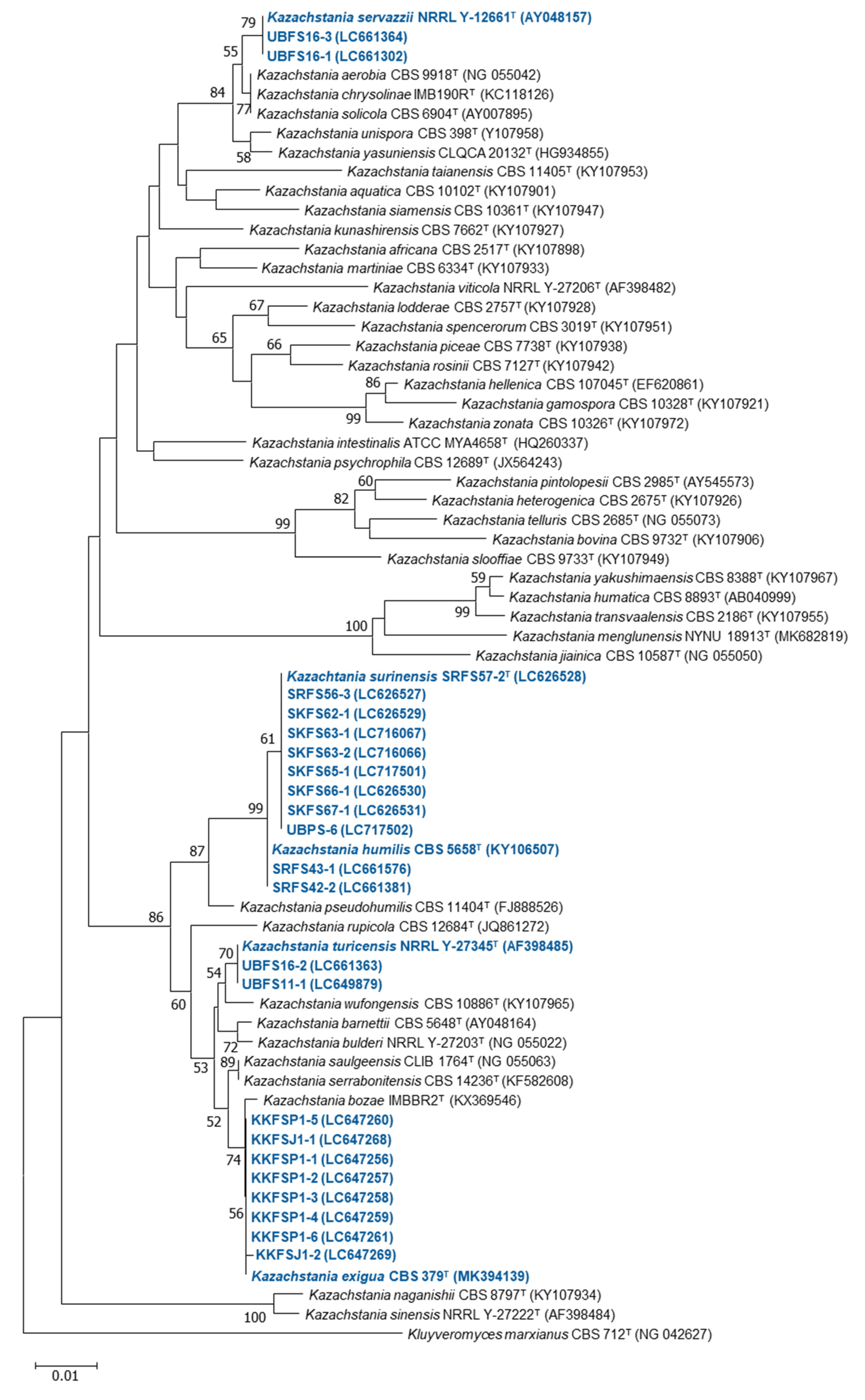 Jof 08 01029 g005 Jof 08 01029 g005