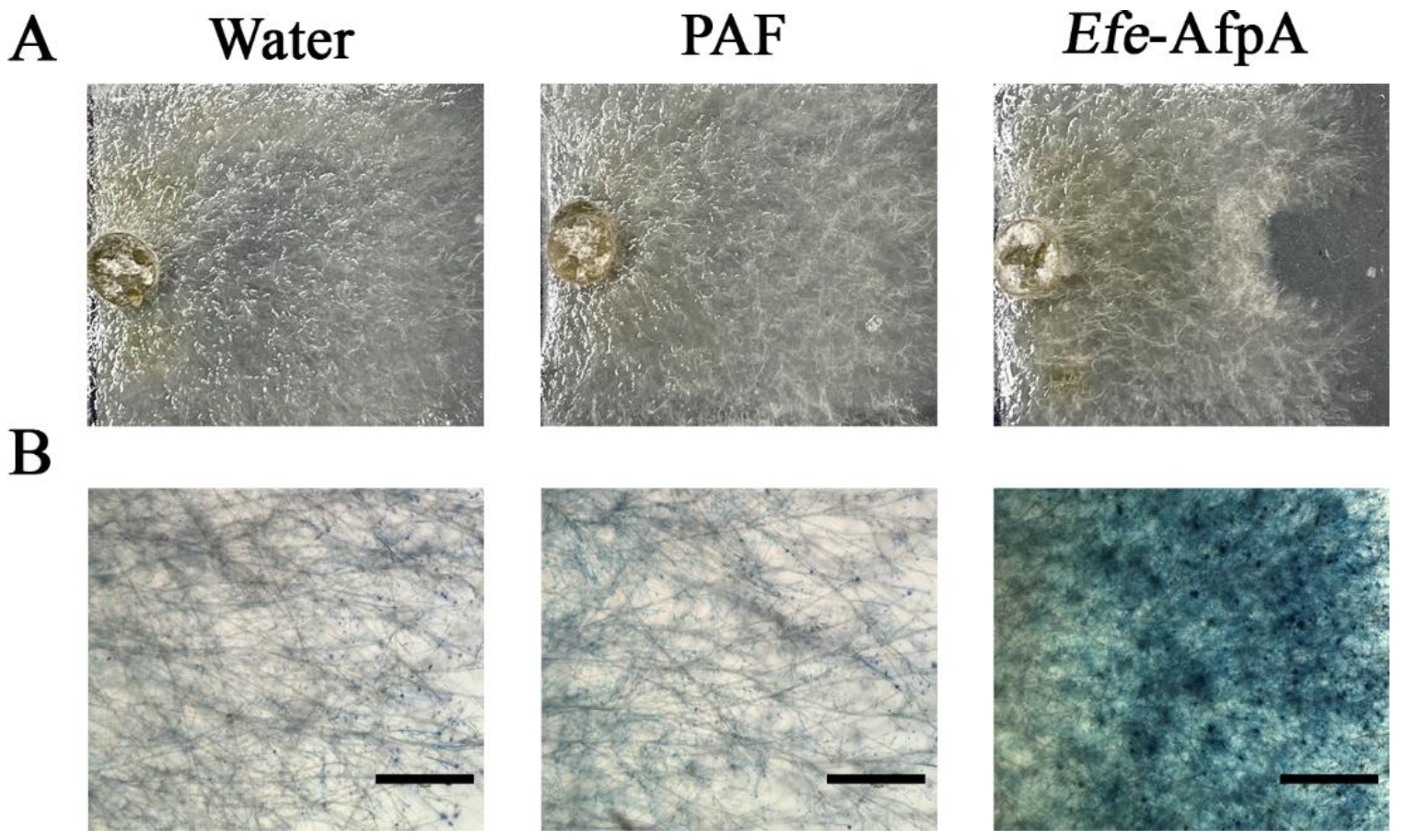 Jof 08 01097 g005 Jof 08 01097 g005