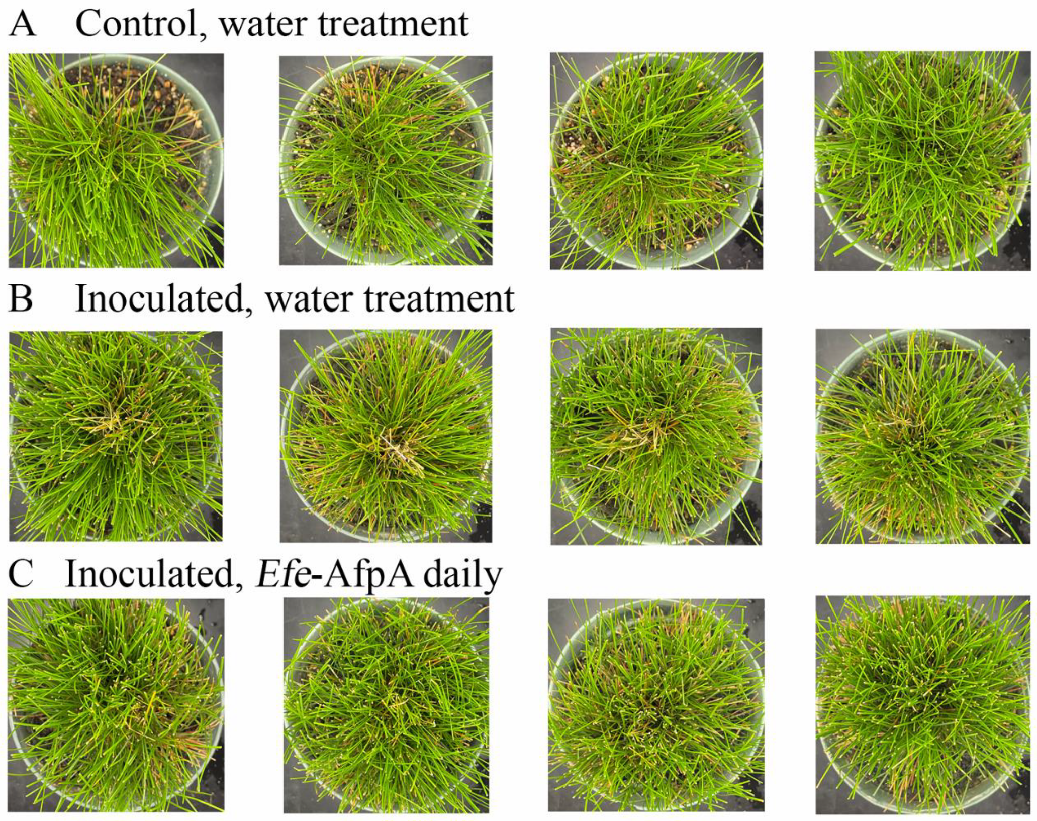 Jof 08 01097 g007 Jof 08 01097 g007