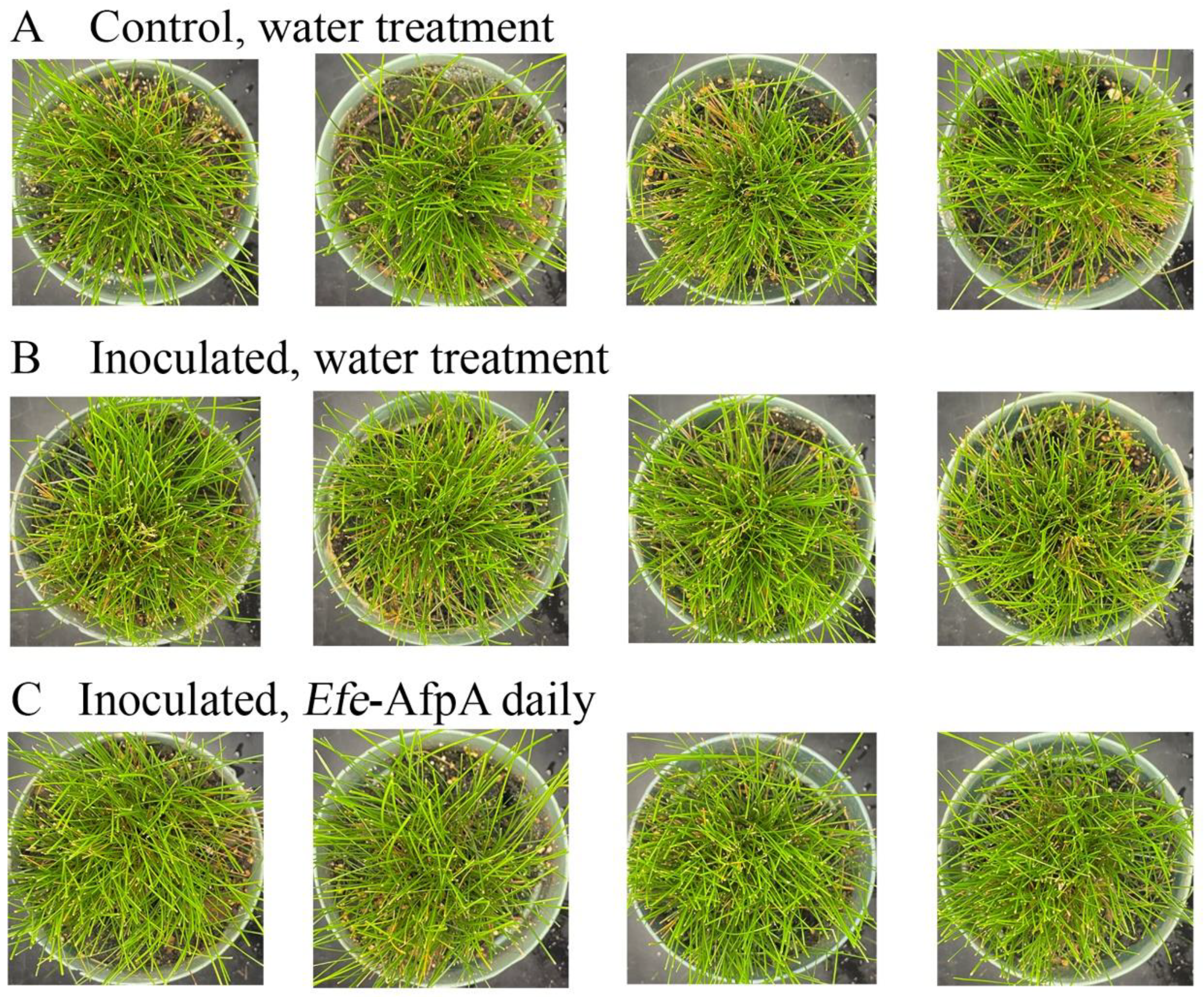 Jof 08 01097 g008 Jof 08 01097 g008