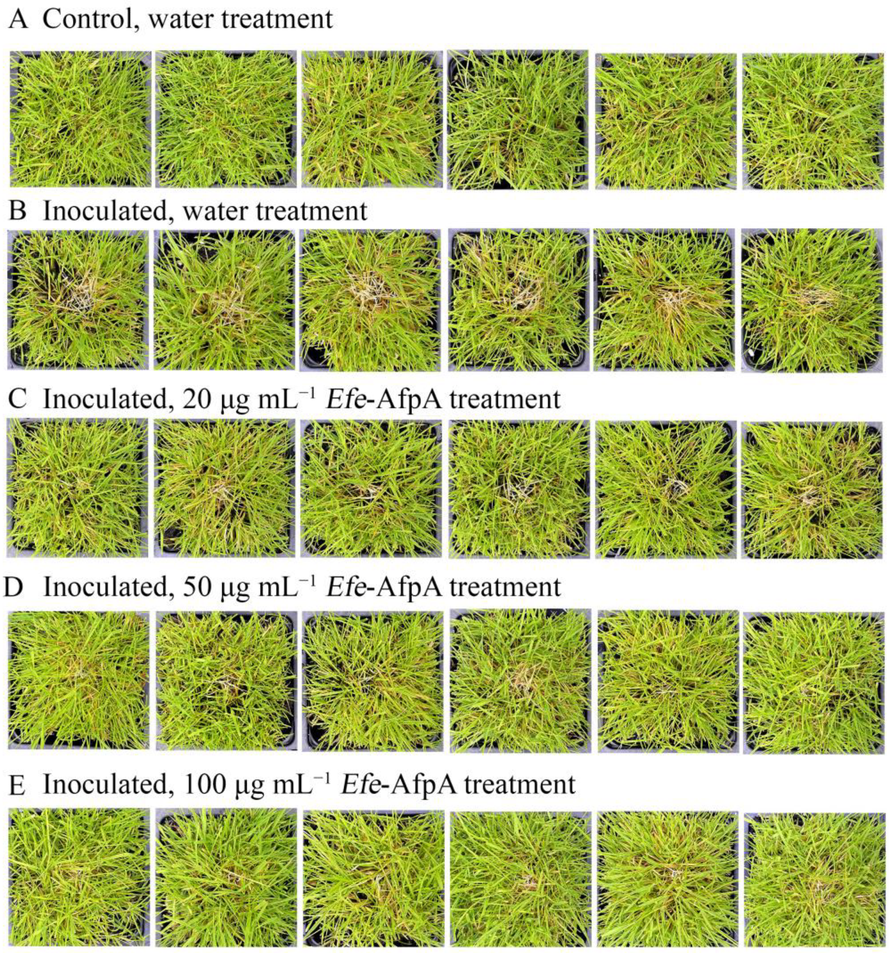 Jof 08 01097 g009 Jof 08 01097 g009