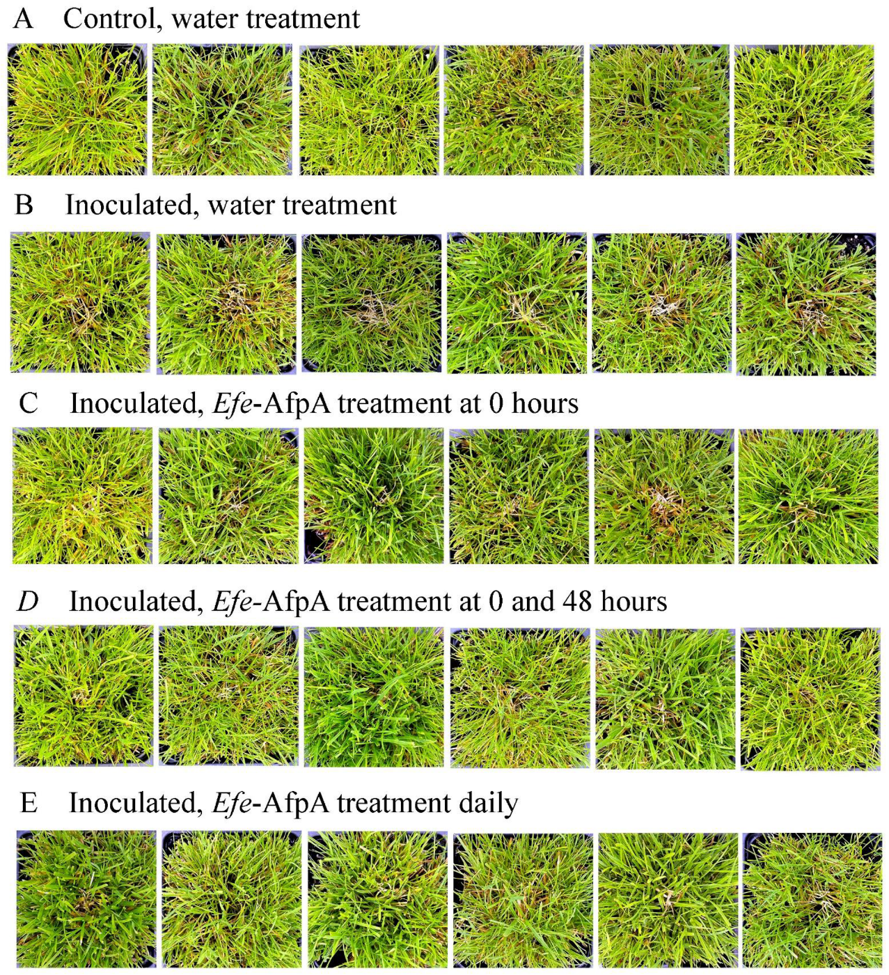 Jof 08 01097 g010 Jof 08 01097 g010