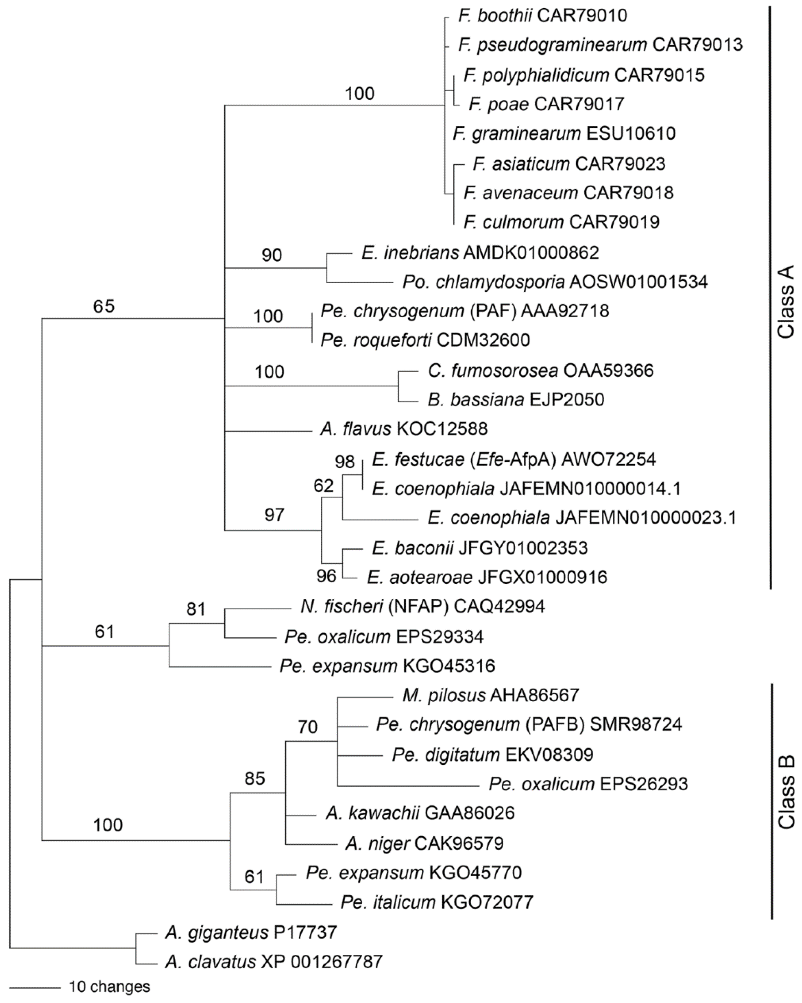 Jof 08 01097 g013 Jof 08 01097 g013