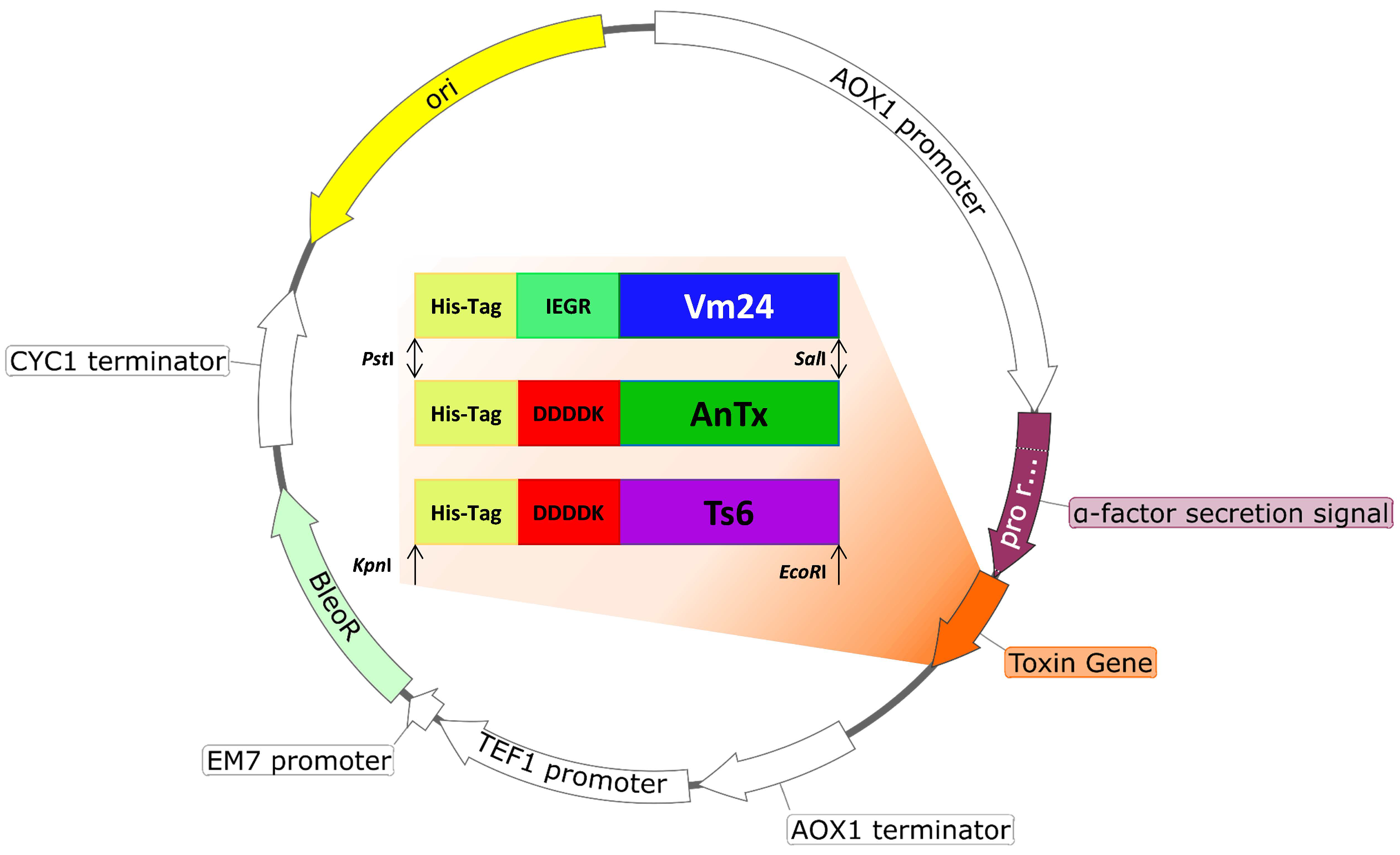 Jof 08 01215 g001 Jof 08 01215 g001