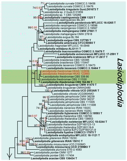 Jof 08 01249 g009a Jof 08 01249 g009a