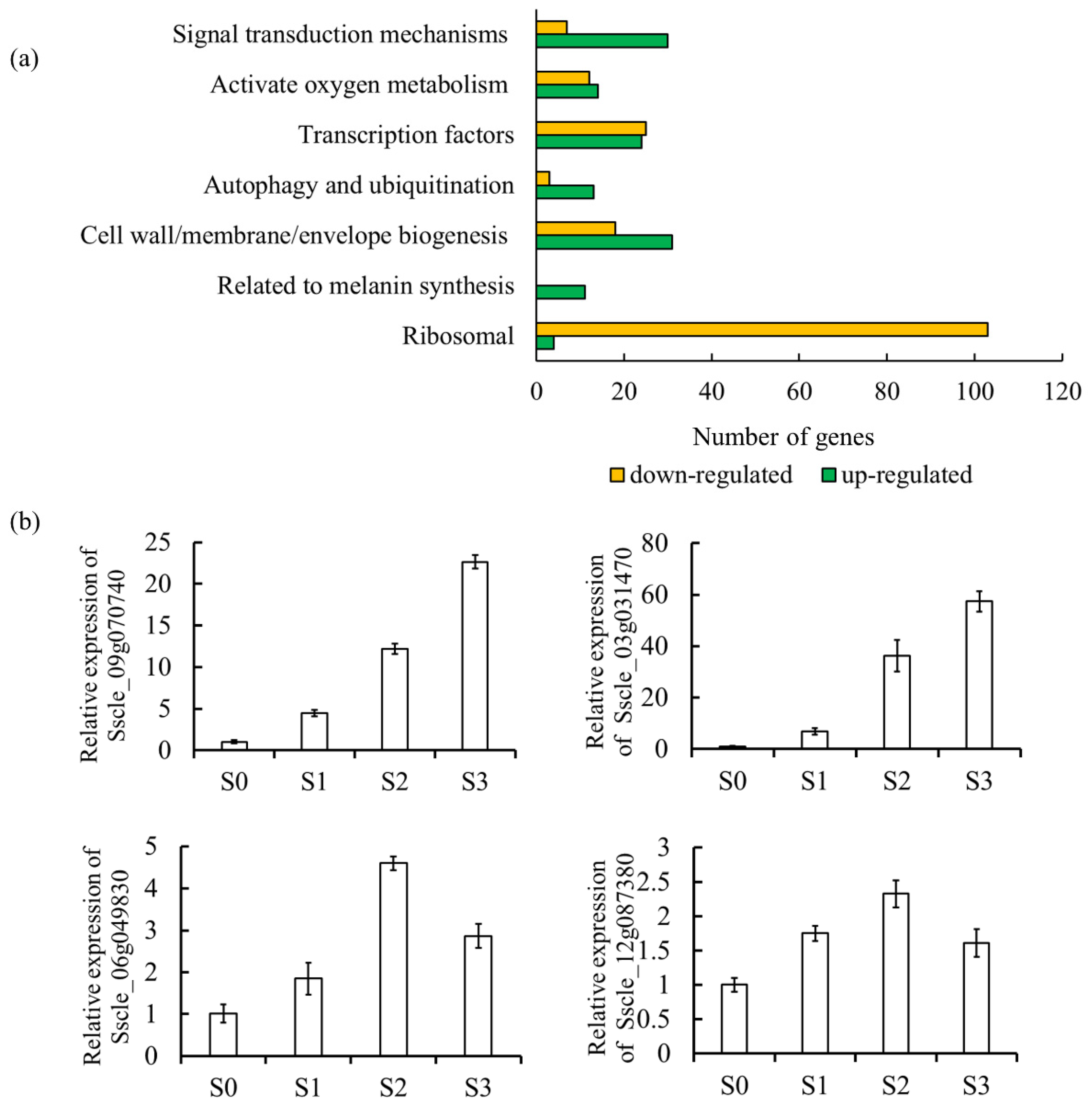 Jof 08 01314 g001 Jof 08 01314 g001