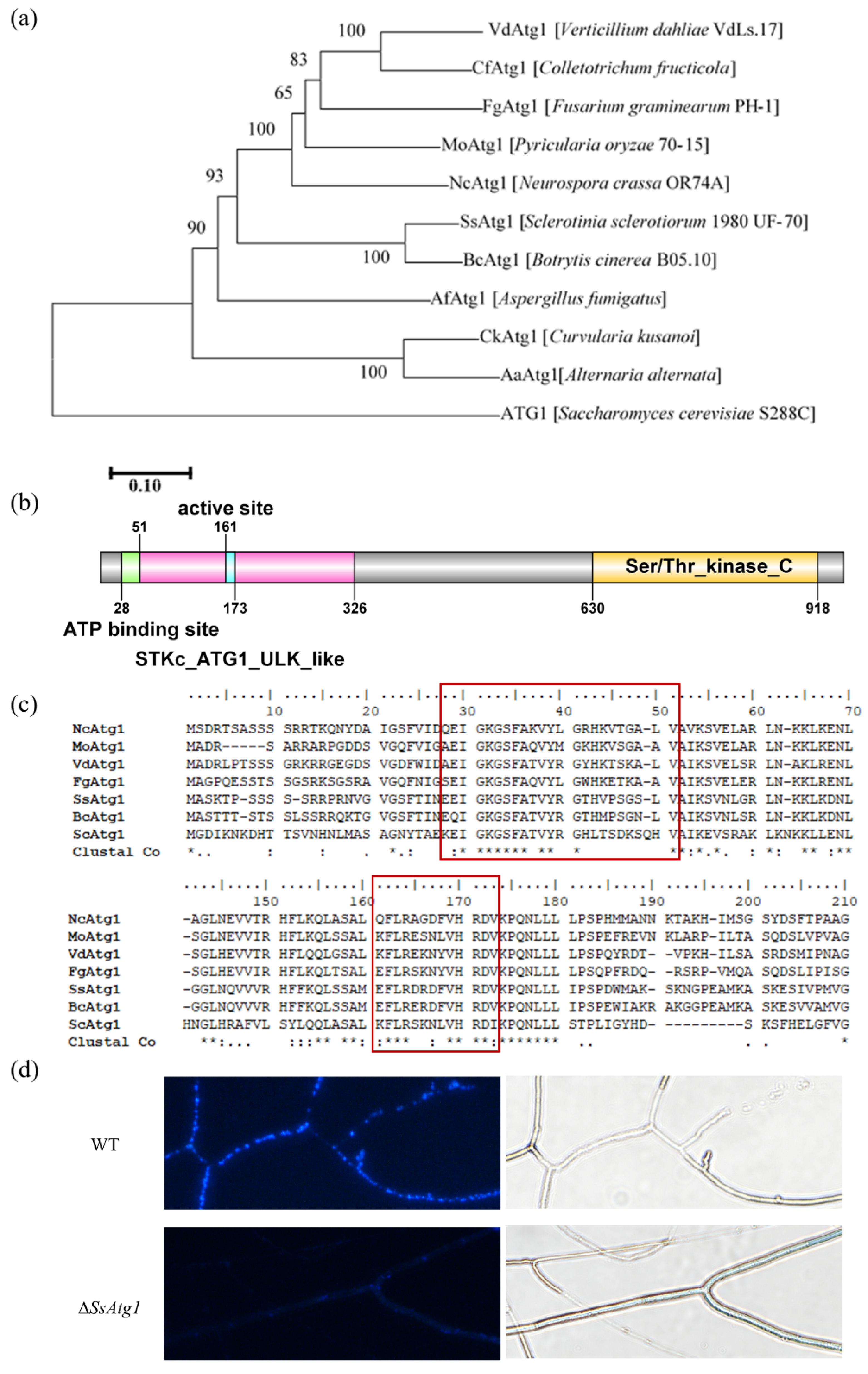 Jof 08 01314 g002 Jof 08 01314 g002