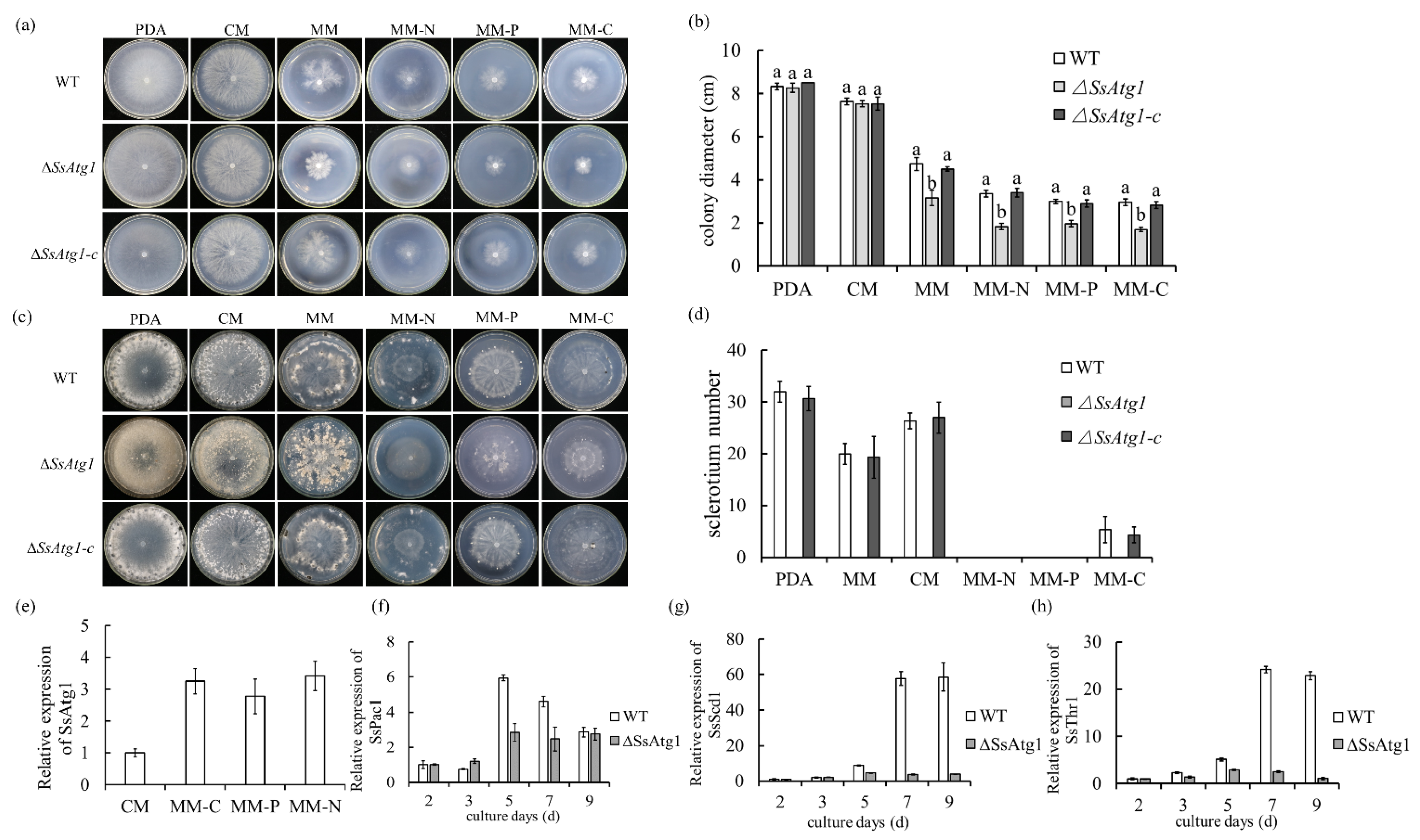 Jof 08 01314 g003 Jof 08 01314 g003