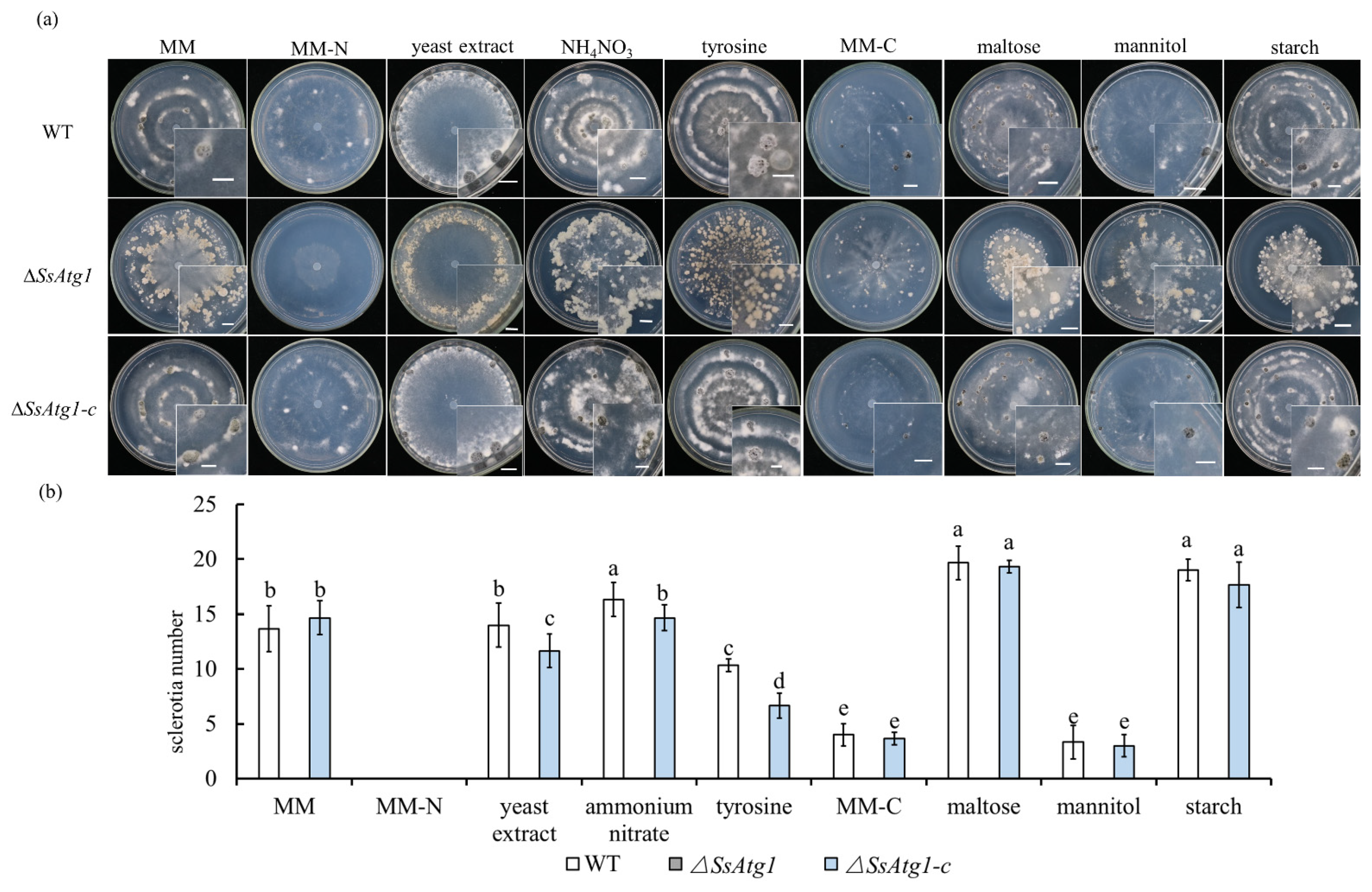 Jof 08 01314 g004 Jof 08 01314 g004