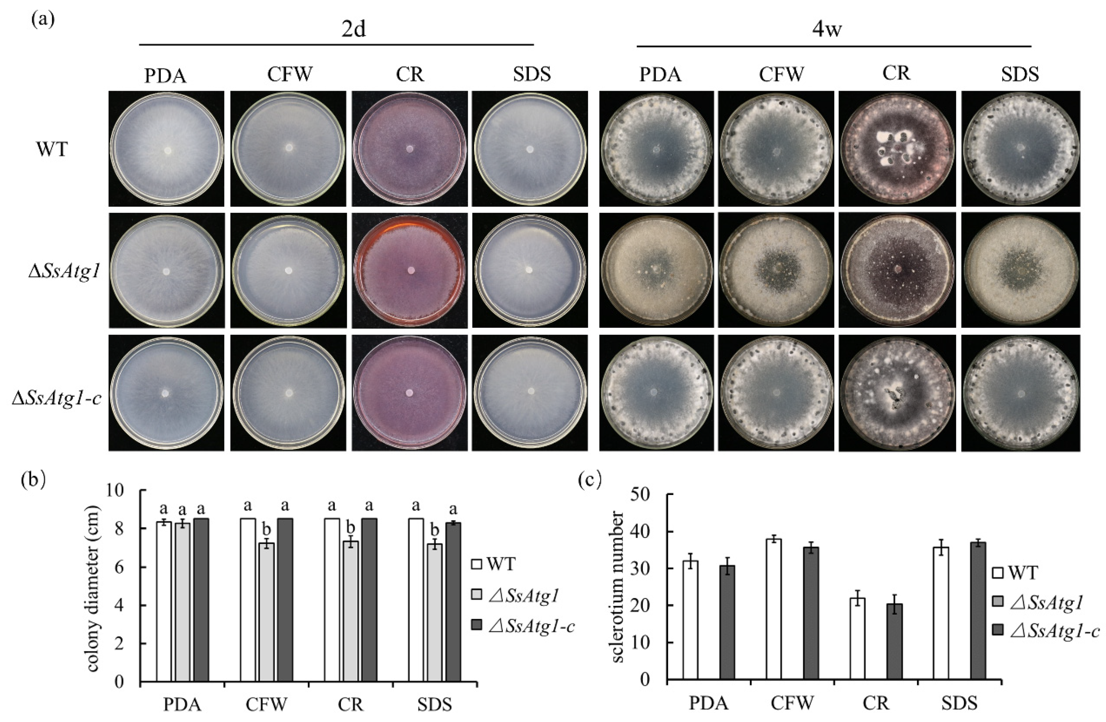 Jof 08 01314 g005 Jof 08 01314 g005