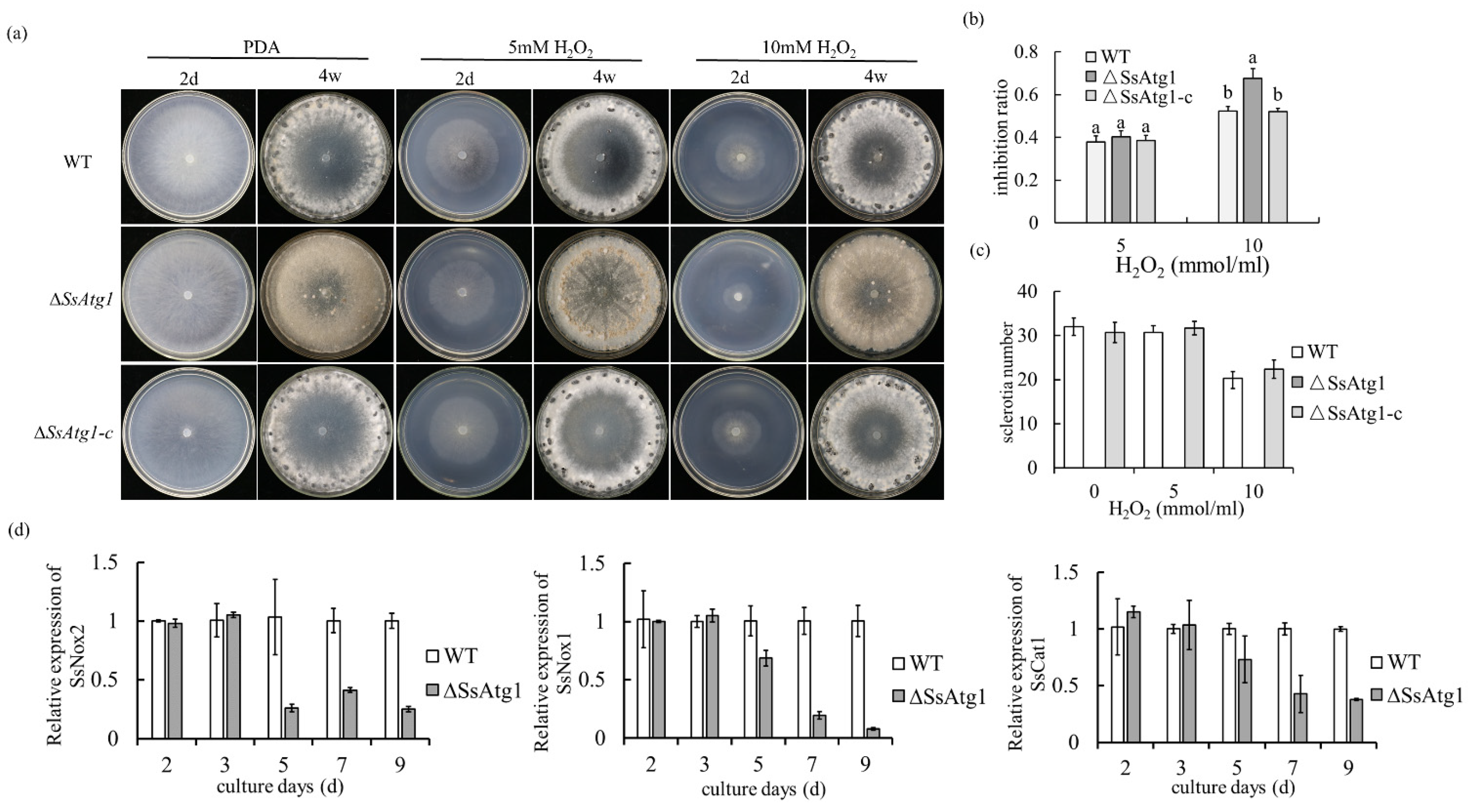 Jof 08 01314 g008 Jof 08 01314 g008