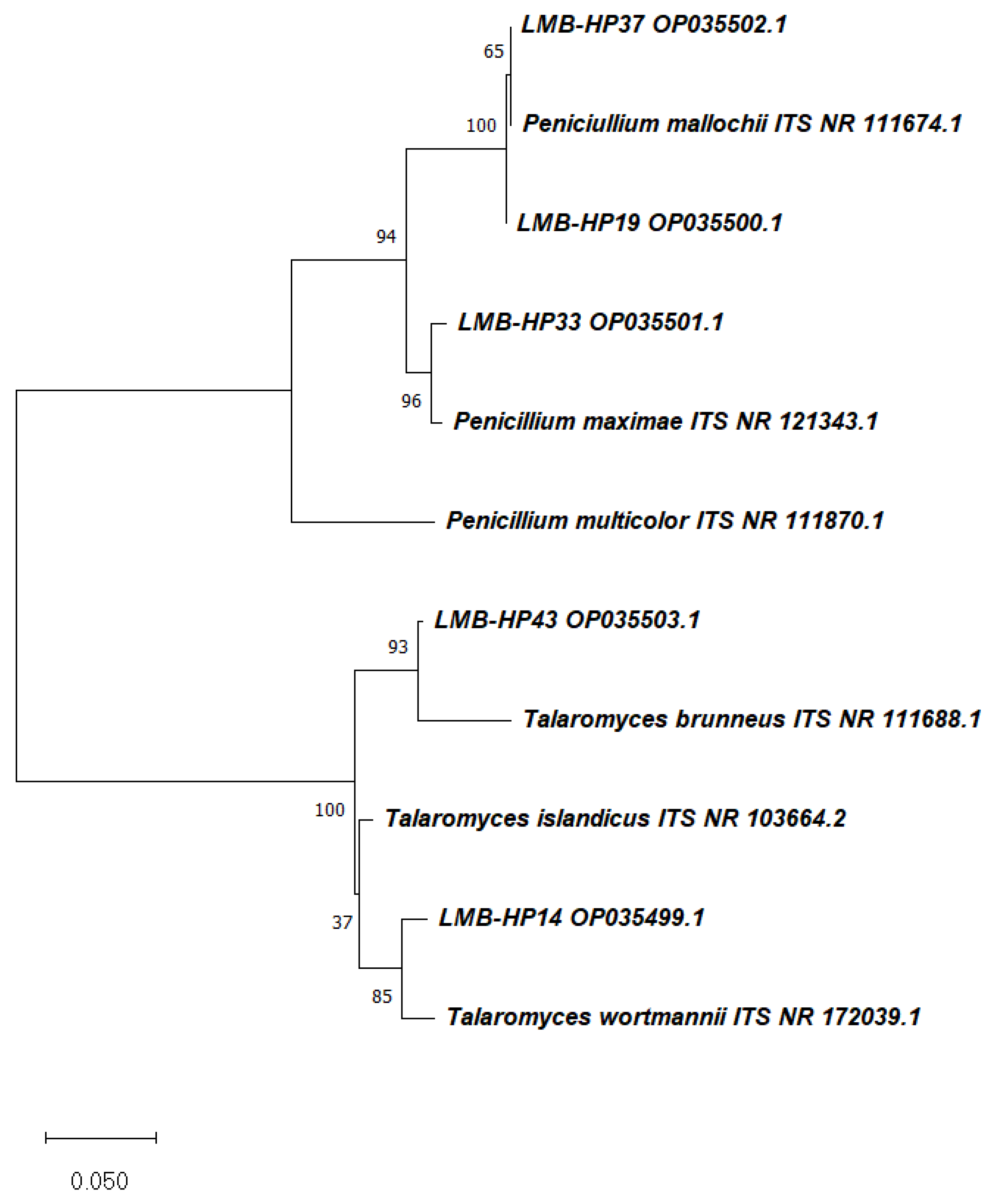 Jof 09 00048 g002 Jof 09 00048 g002