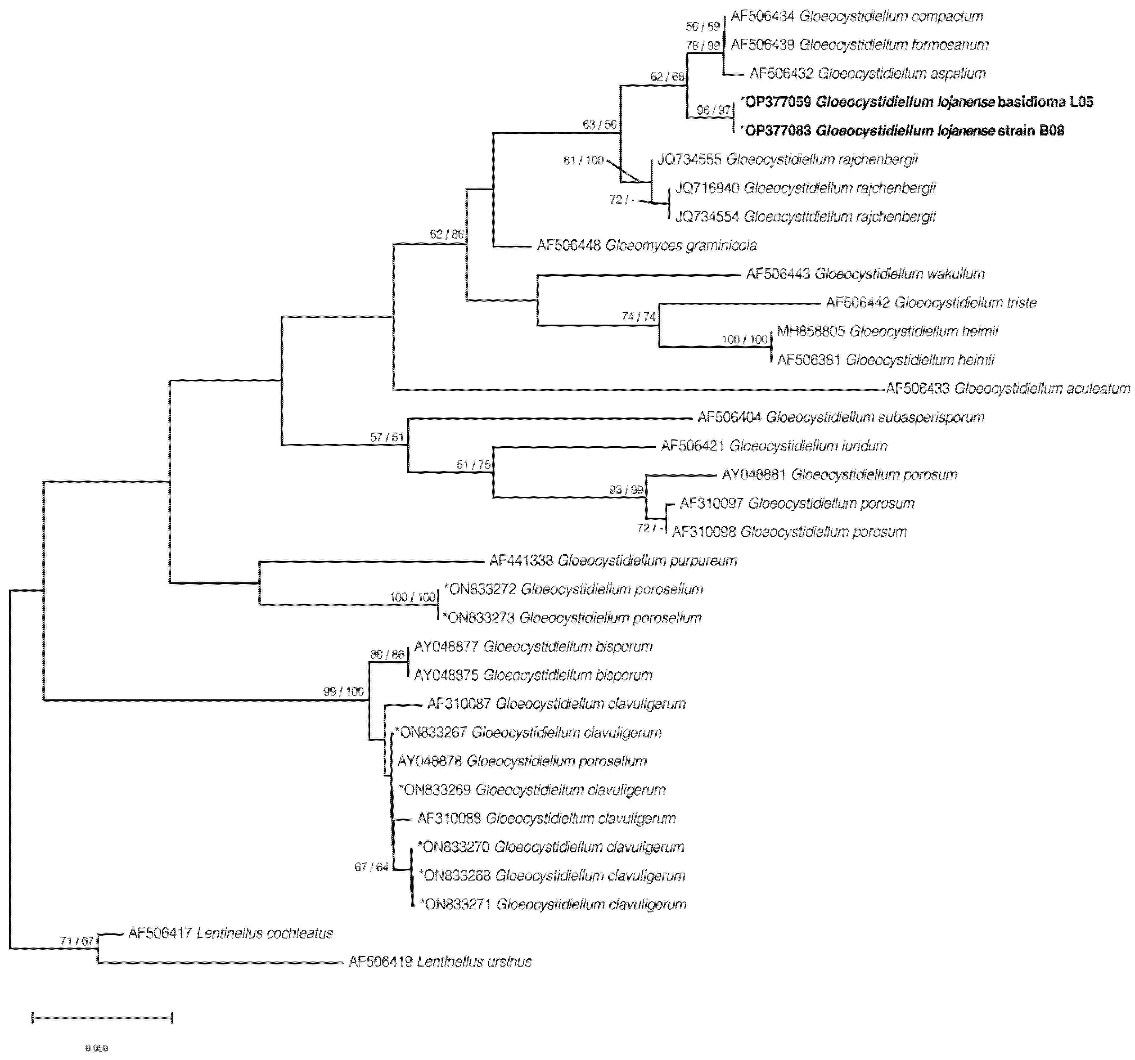 Jof 09 00054 g005 Jof 09 00054 g005