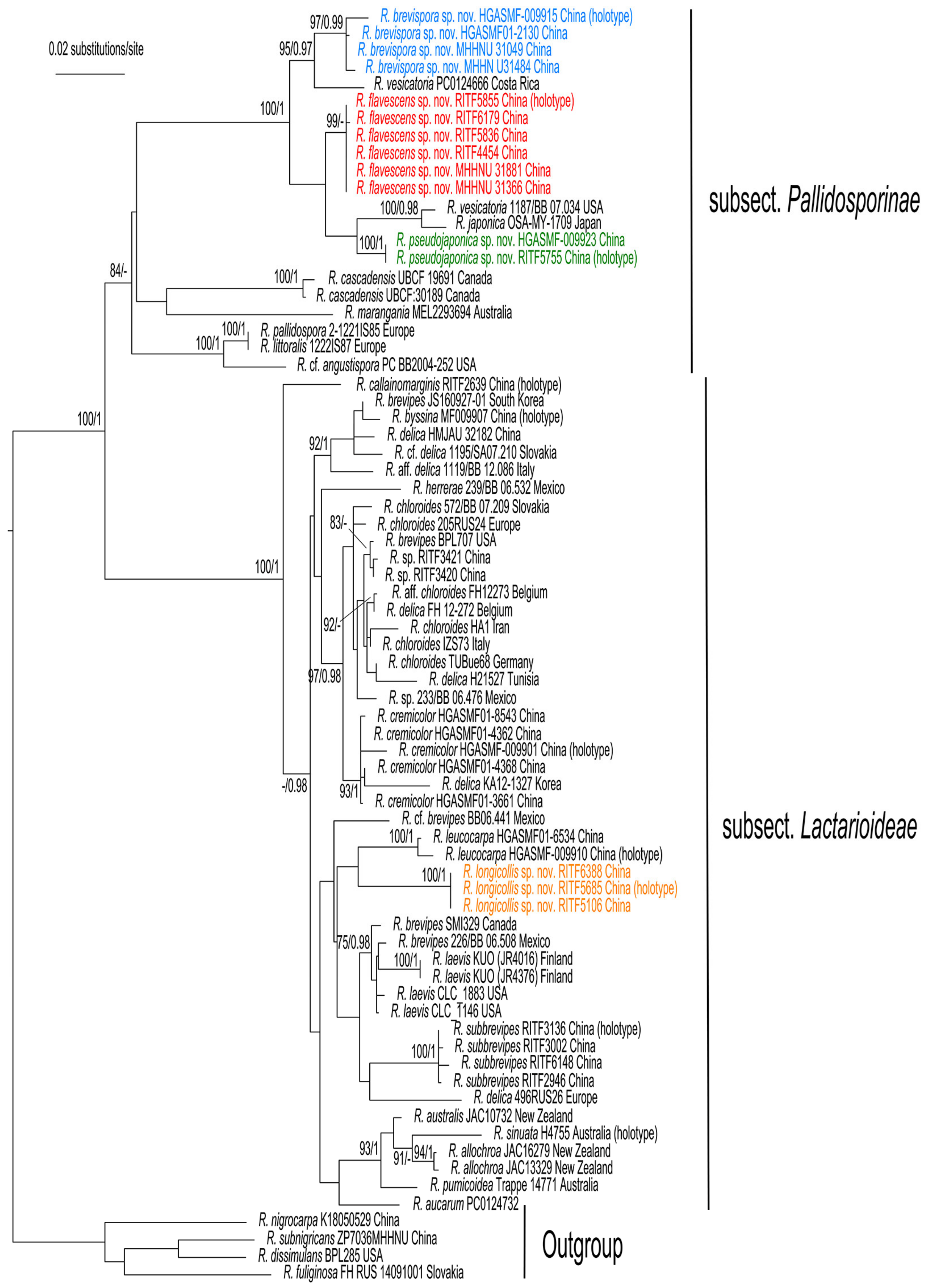 Jof 09 00061 g001 Jof 09 00061 g001