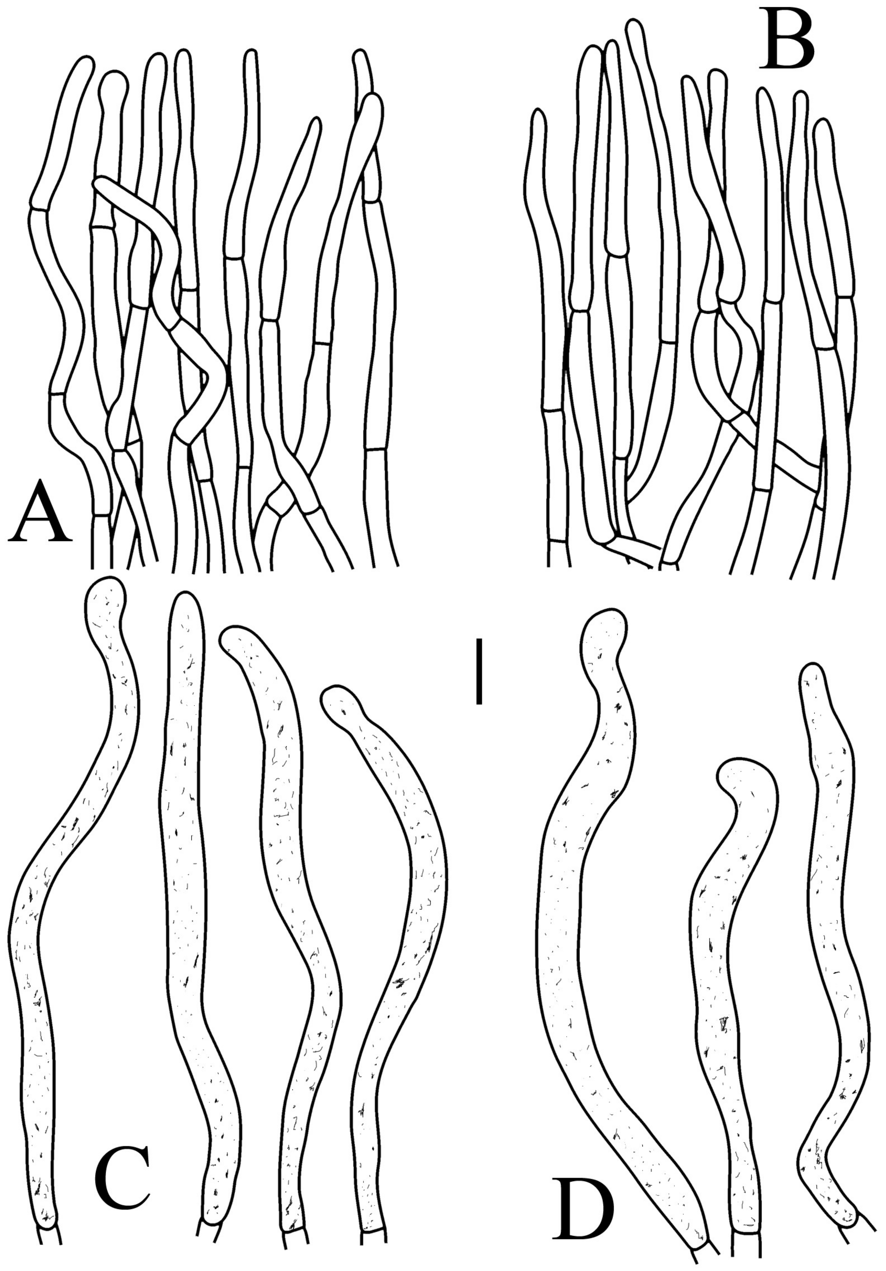 Jof 09 00061 g007 Jof 09 00061 g007