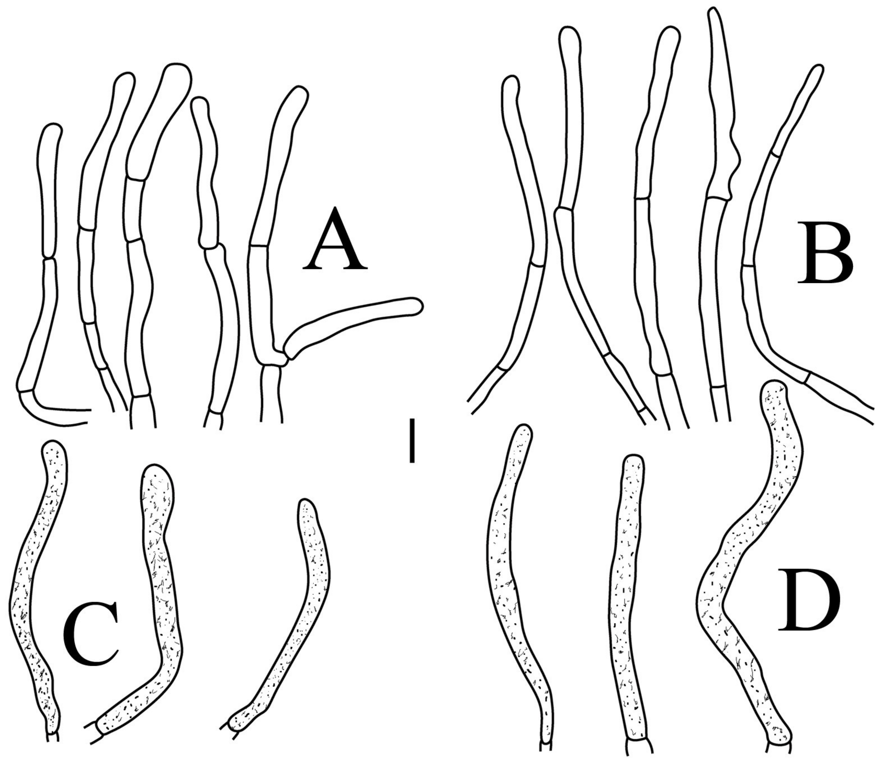 Jof 09 00061 g009 Jof 09 00061 g009